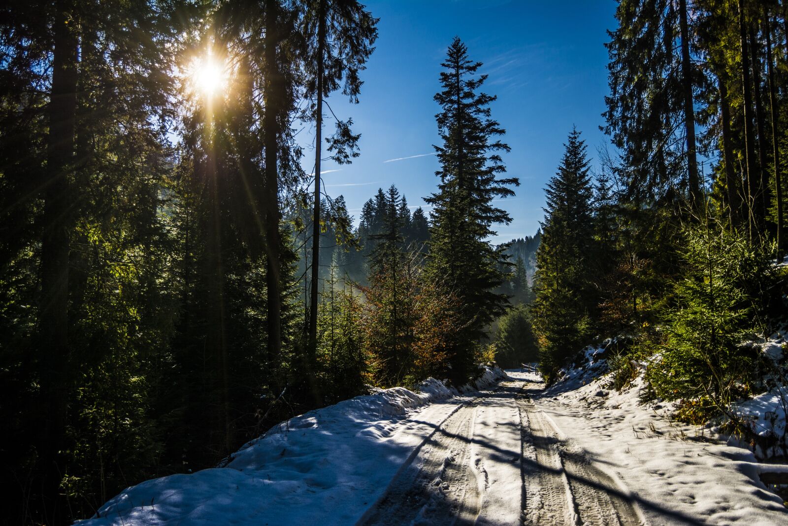 Nikon D7100 sample photo. Winter, road, snow photography