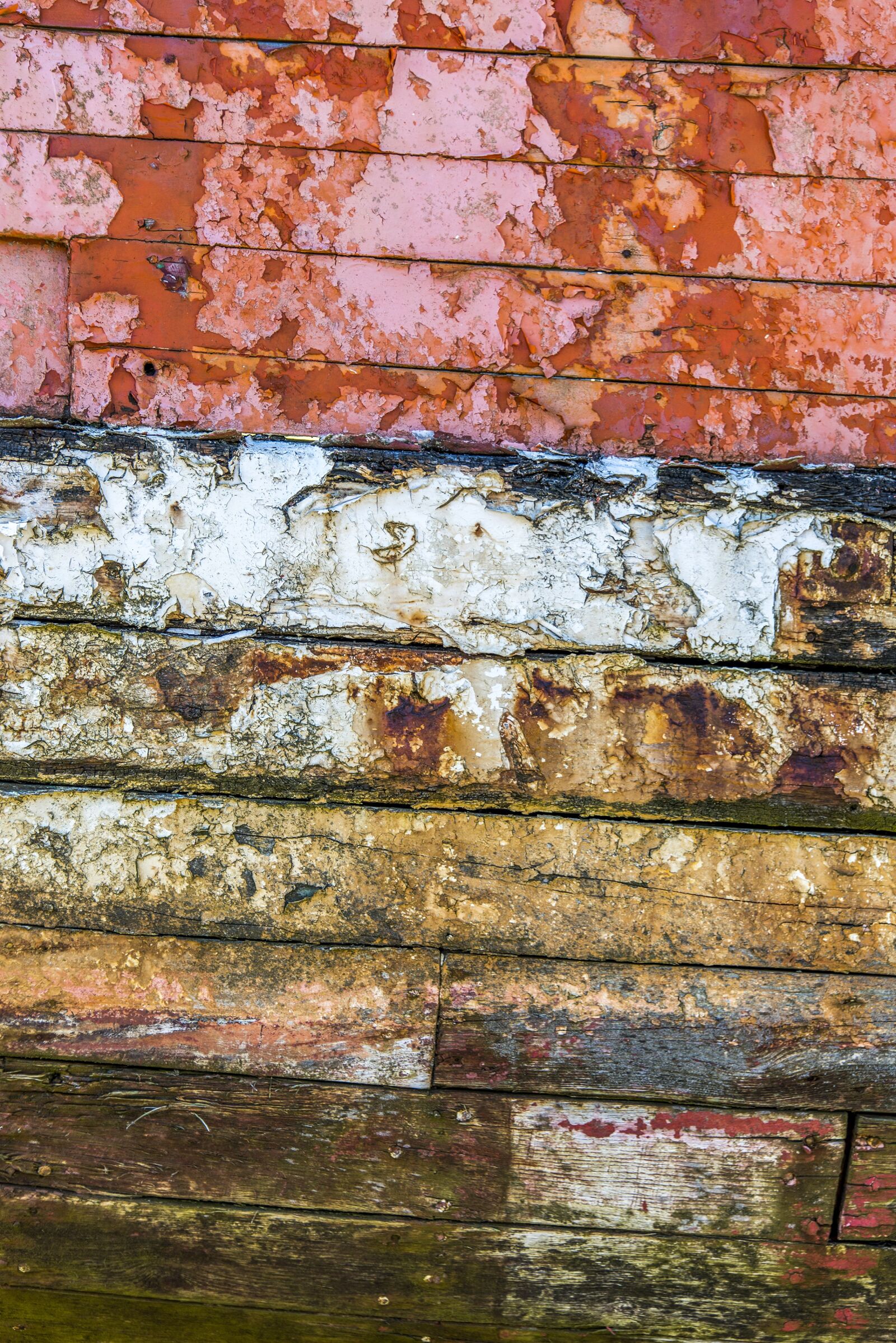 Nikon D610 sample photo. Texture, texture wood, peeling photography