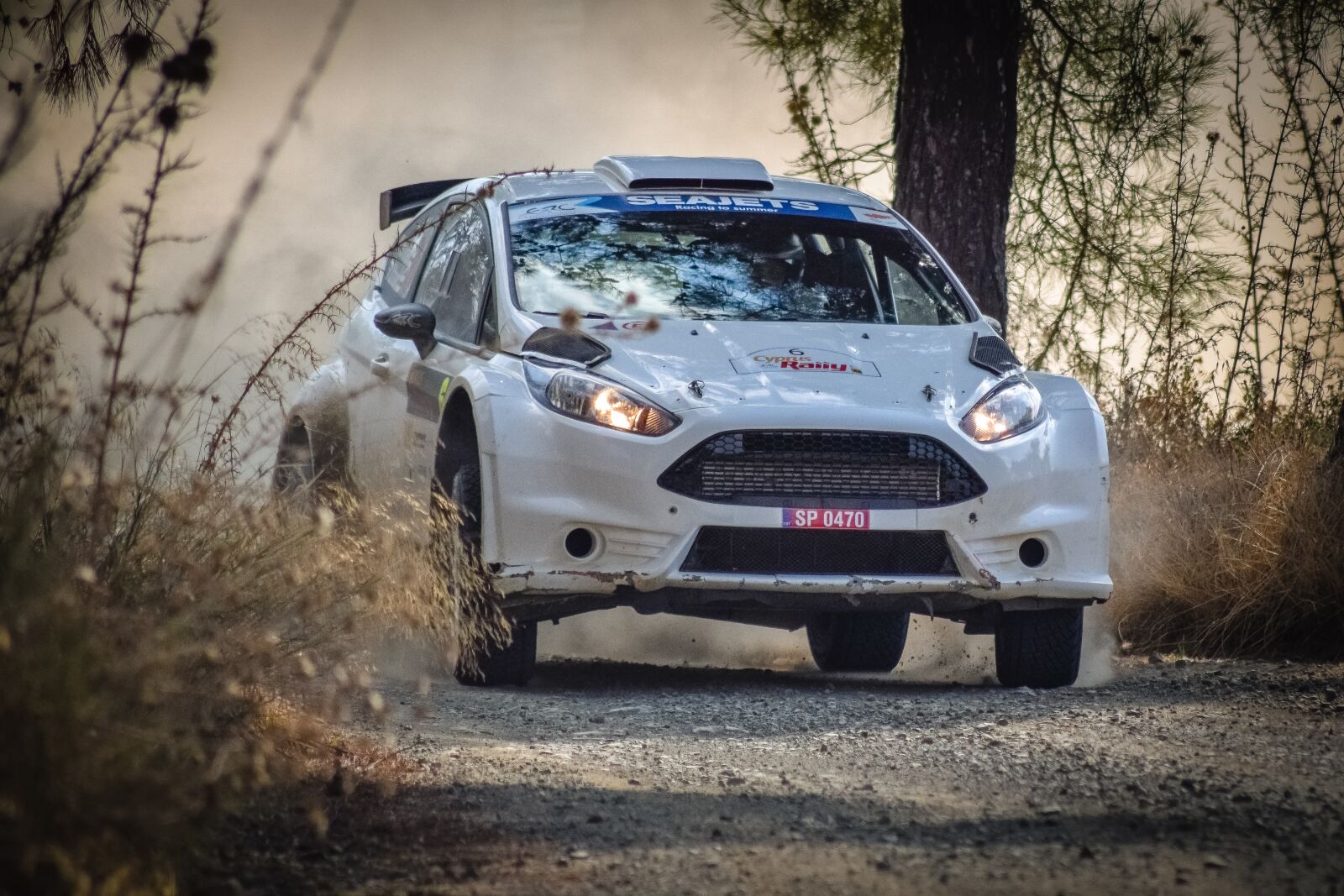 Nikon D3300 sample photo. Car, rally, auto photography