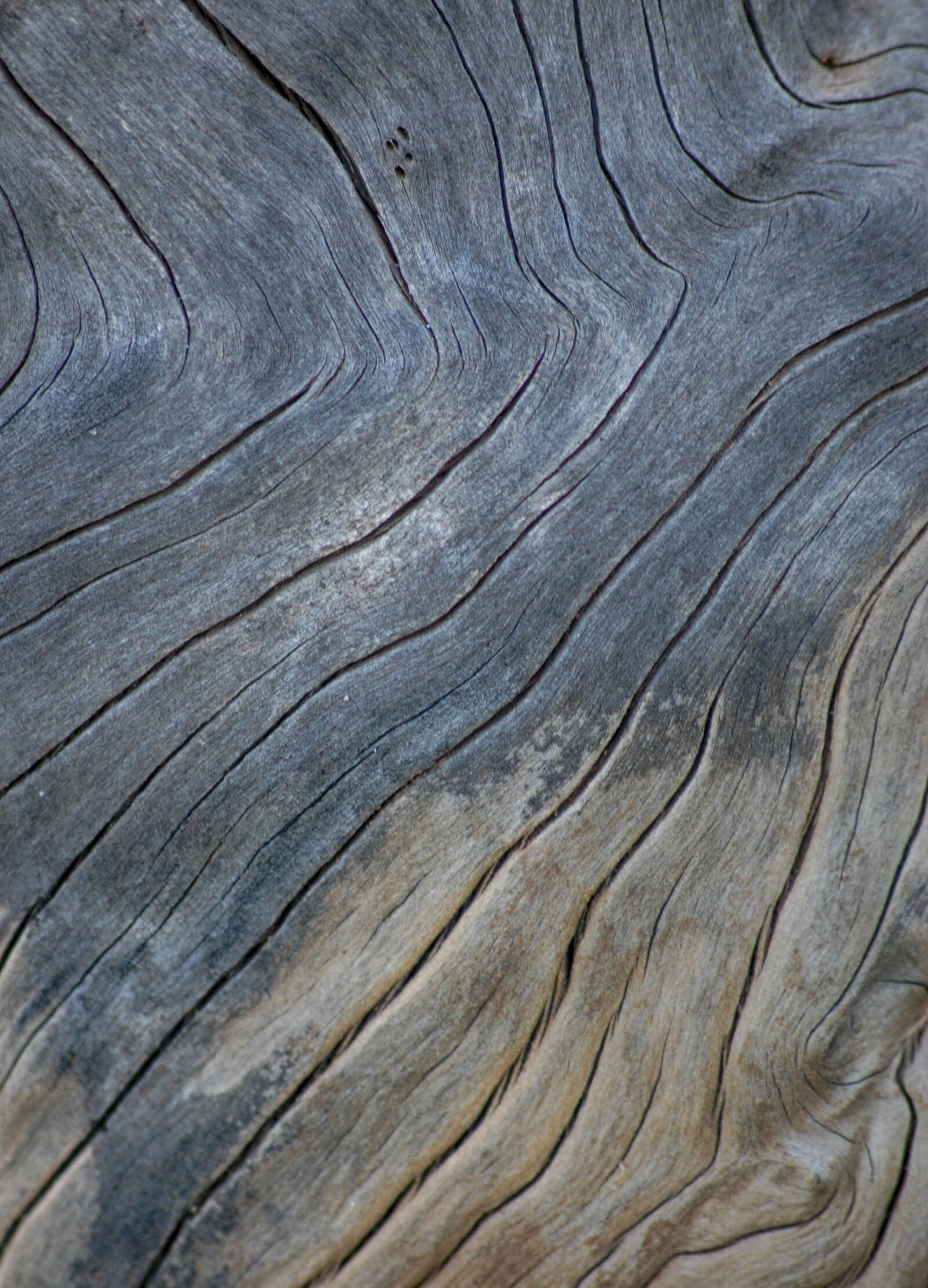 Nikon D40 sample photo. Timber, wood texture background photography