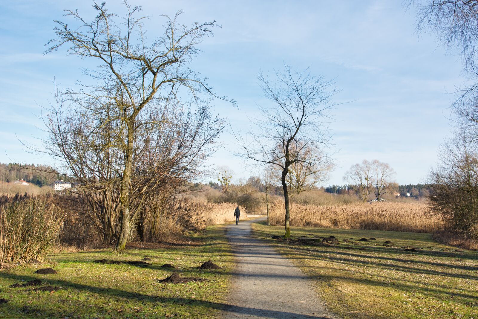 Nikon D7100 sample photo. Away, nature, autumn photography