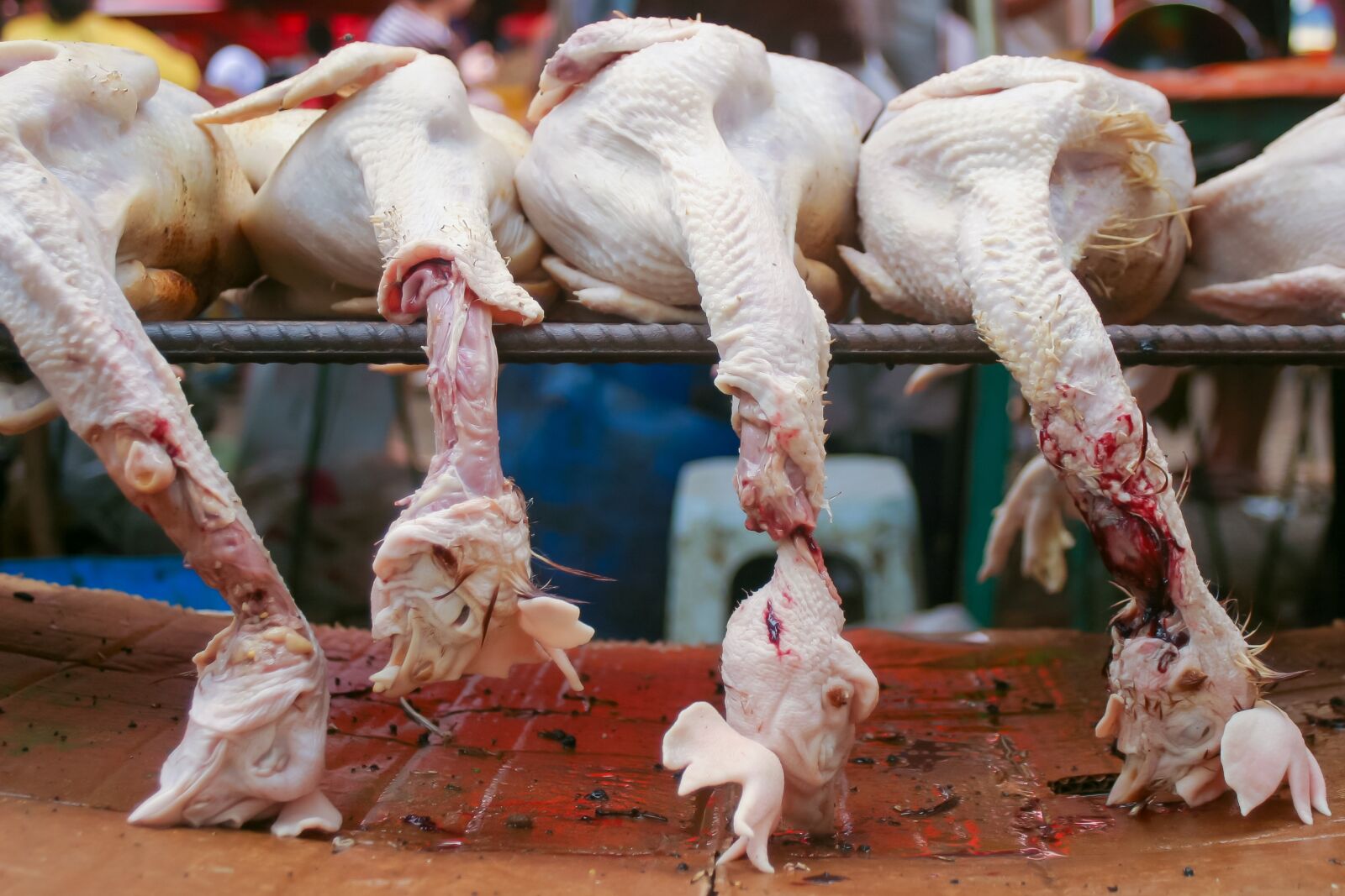 Canon EOS 10D sample photo. Chicken, market, food photography