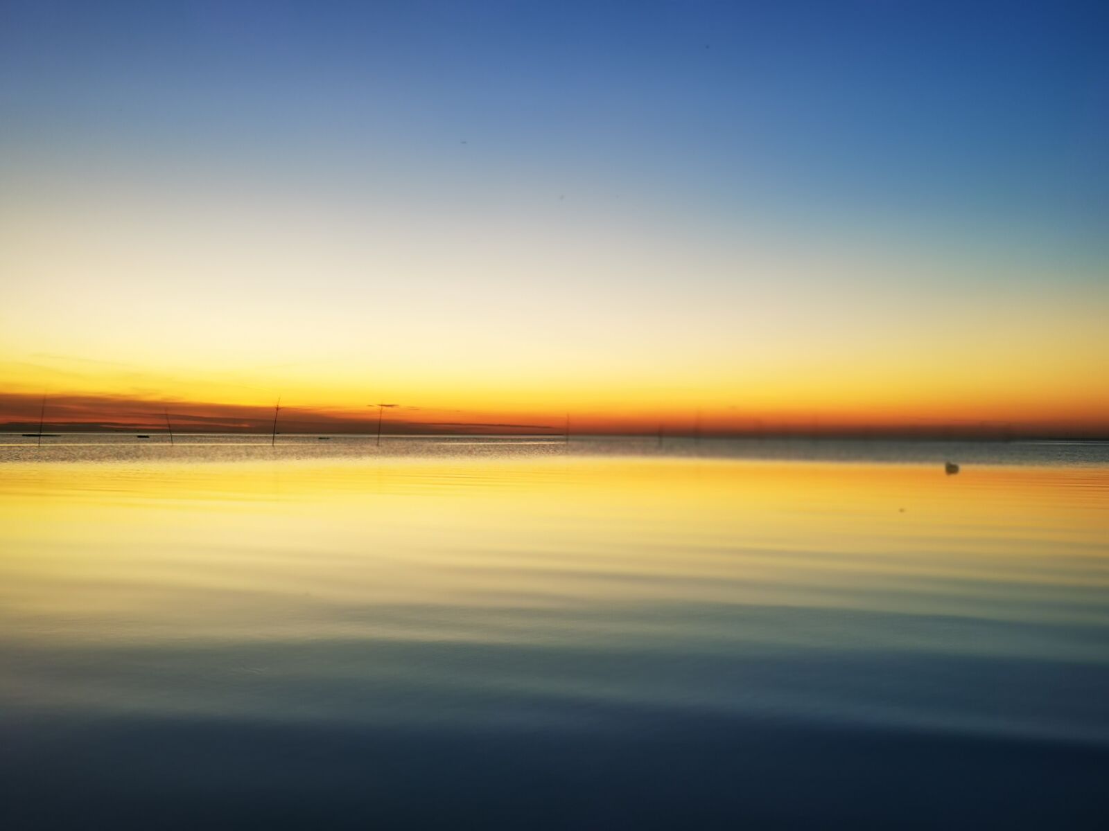 HUAWEI VOG-L29 sample photo. North sea, sea, sun photography