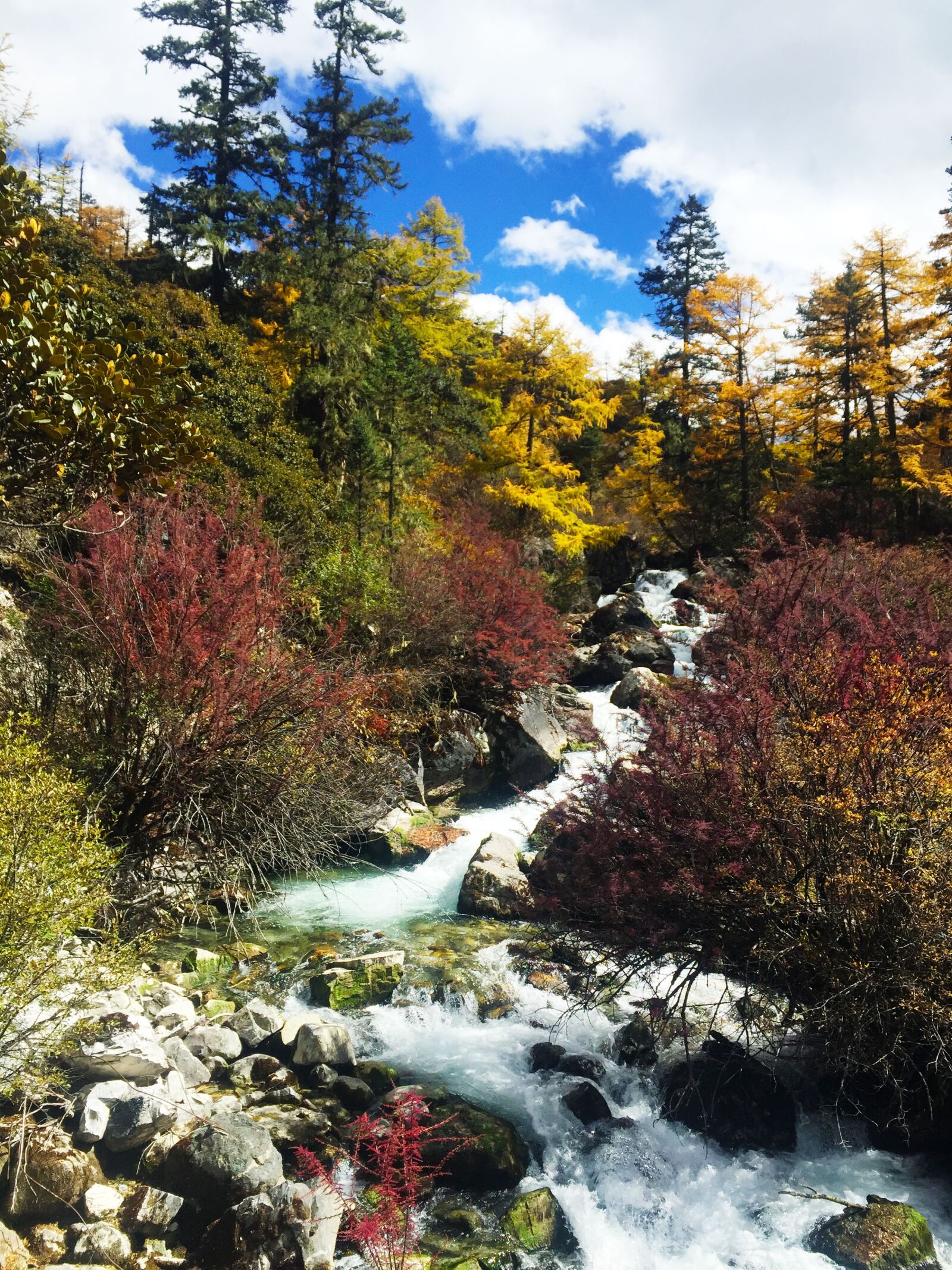 iPhone 6 back camera 4.15mm f/2.2 sample photo. Aden, autumn, blue sky photography