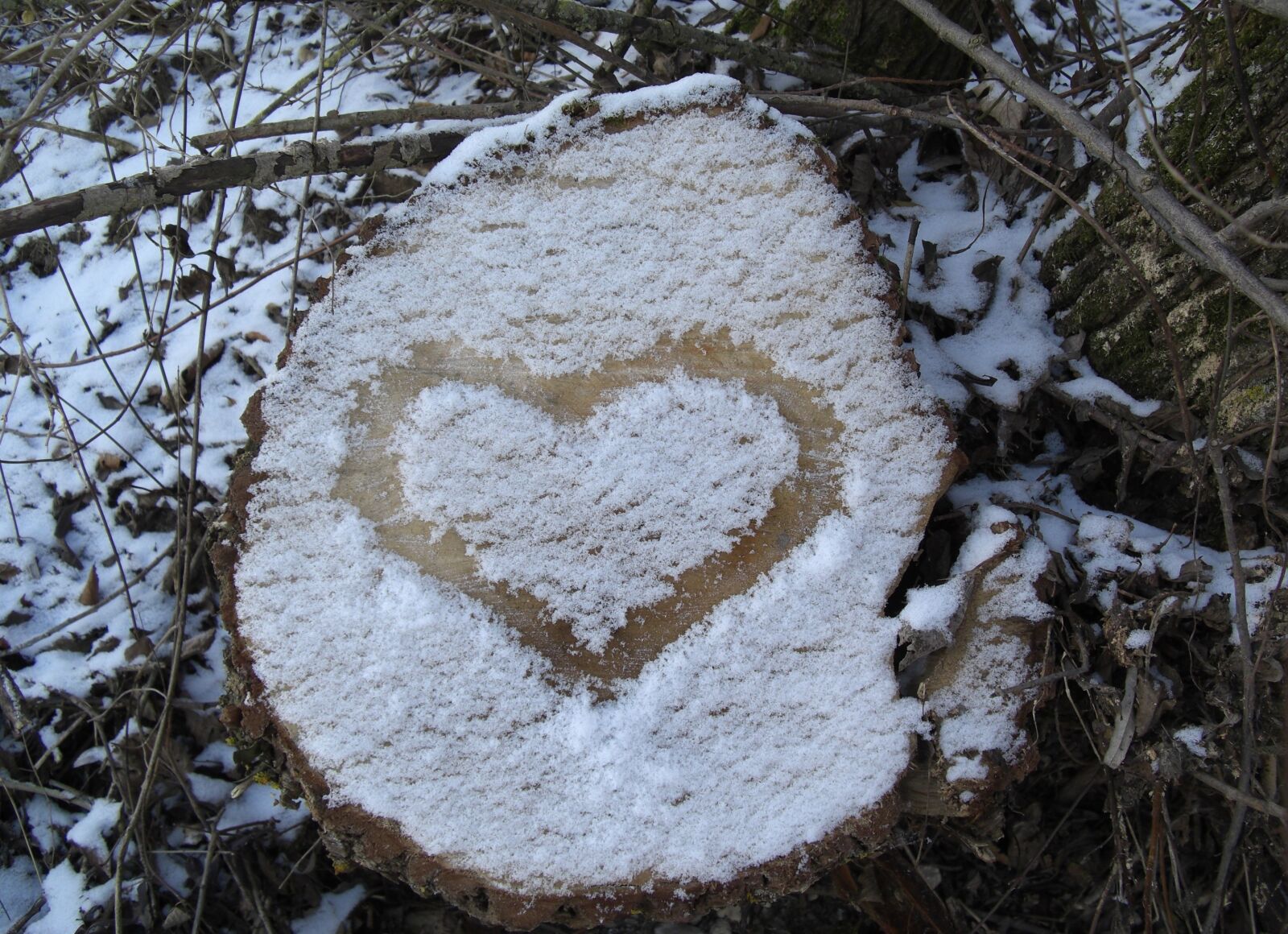CASIO EX-Z1200 sample photo. Heart, snow, tree stump photography