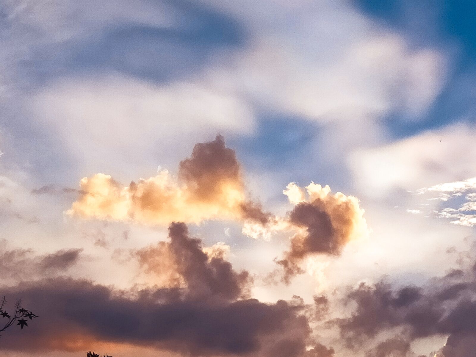 OPPO A9 2020 sample photo. Broken heart, sunset, sky photography