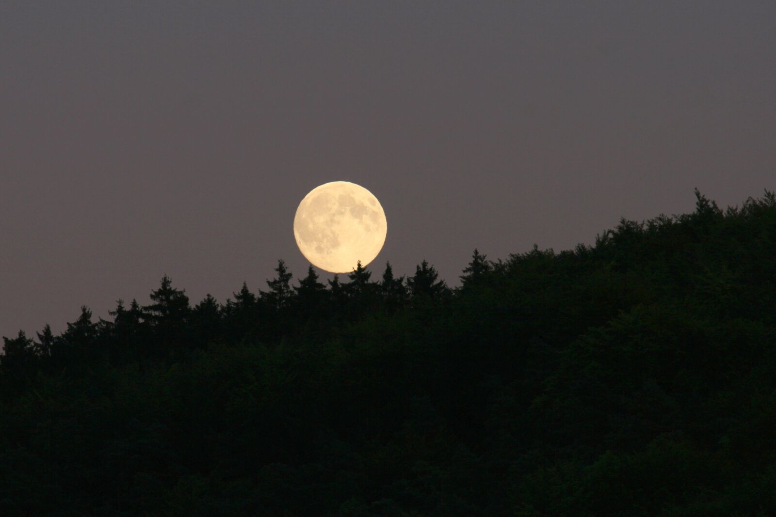 Canon EOS 30D sample photo. Moon, full moon, moonlight photography