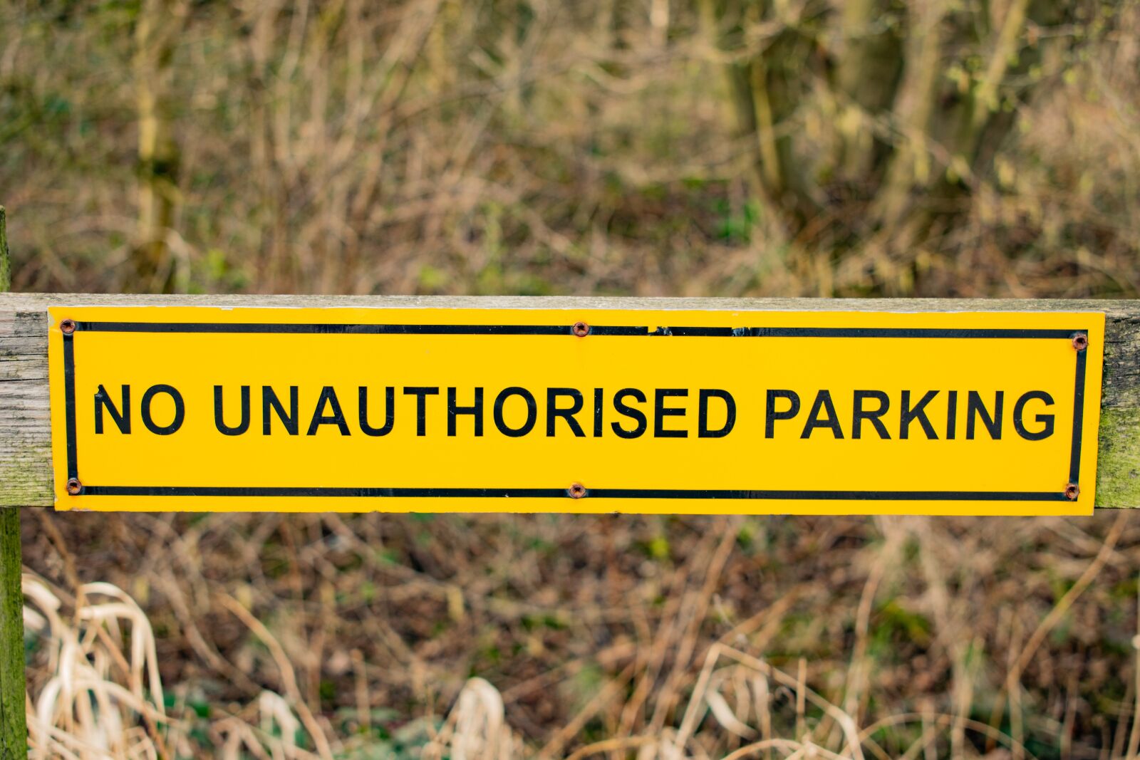 Nikon D3300 sample photo. No unauthorised parking, sign photography