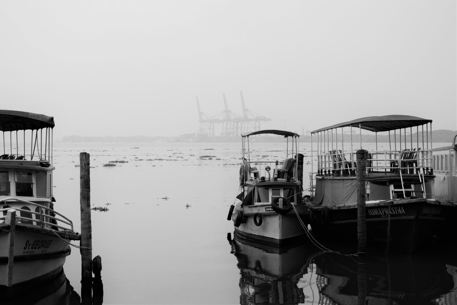 Nikon D5300 sample photo. Ernakulam, kochi, kerala photography