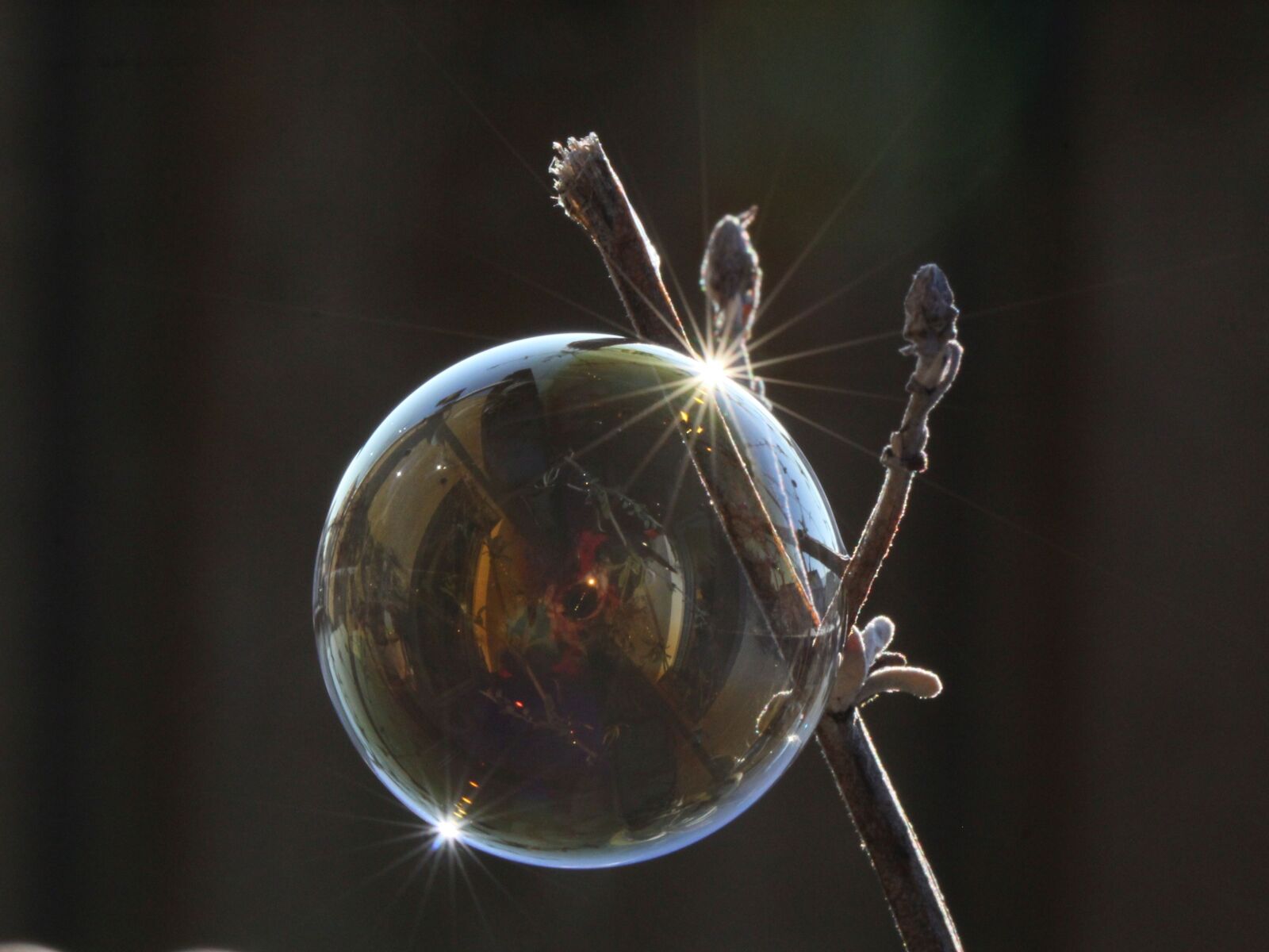 Canon EF 100mm F2.8L Macro IS USM sample photo. Soap bubble, light, reflection photography