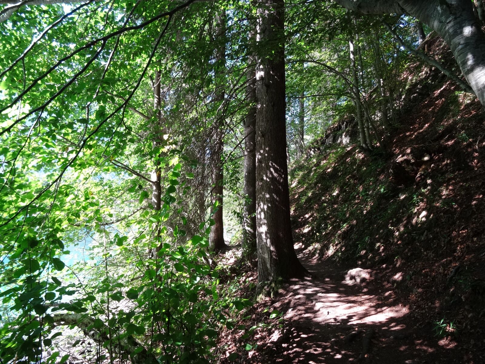 Sony DSC-HX50 sample photo. At the lake, in photography