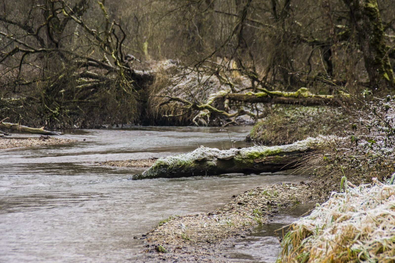 Nikon D7200 sample photo. Amper, river, bach photography