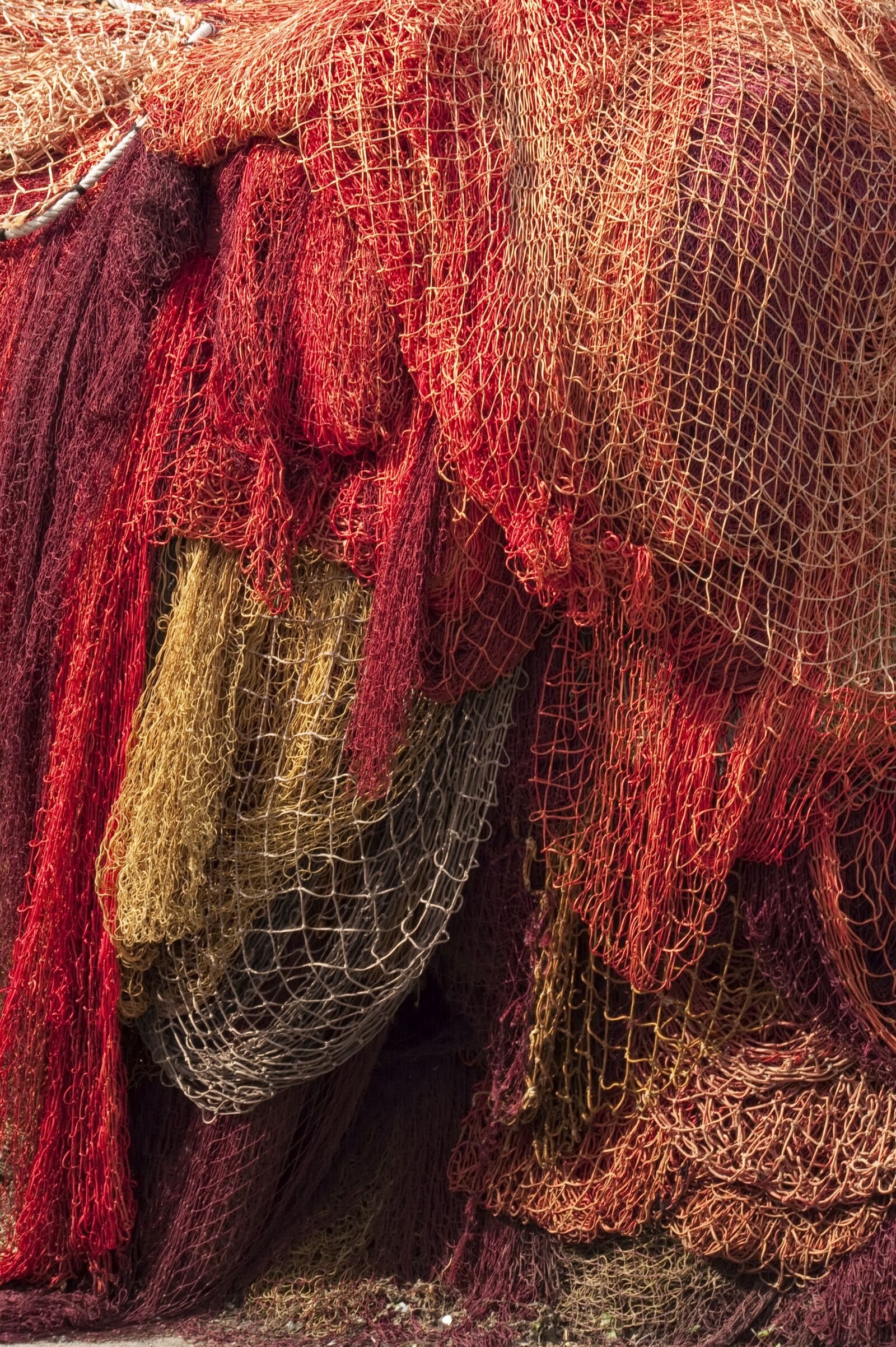 Panasonic DMC-FZ18 sample photo. Fishing, netting, red photography