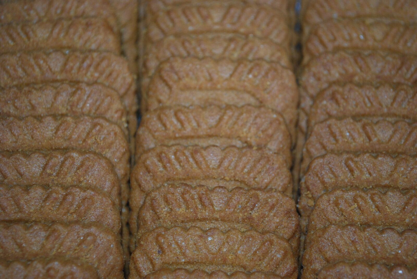 Nikon D60 sample photo. Speculaas, biscuit, dessert photography