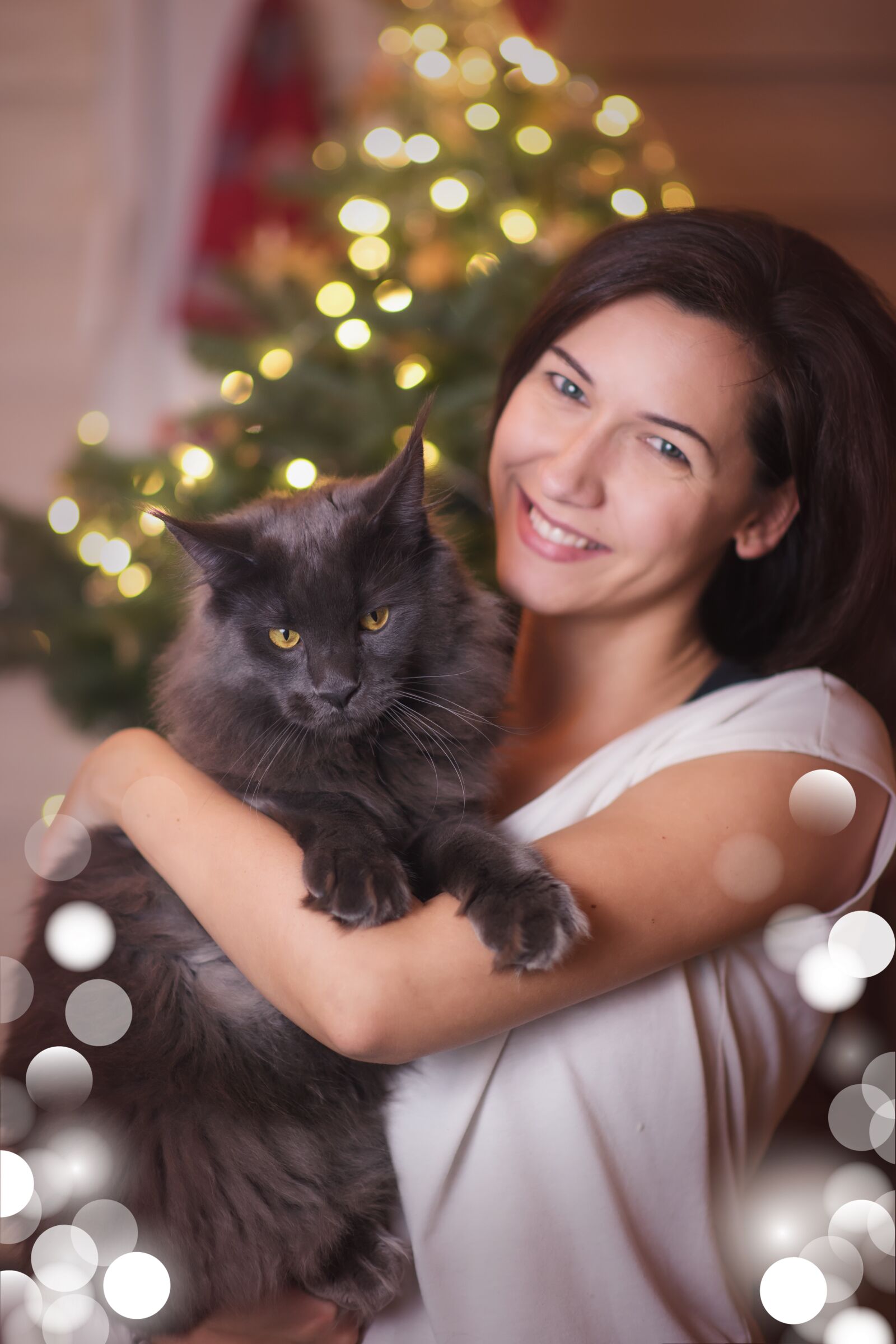 Nikon D750 sample photo. Cat, tomcat, animal photography