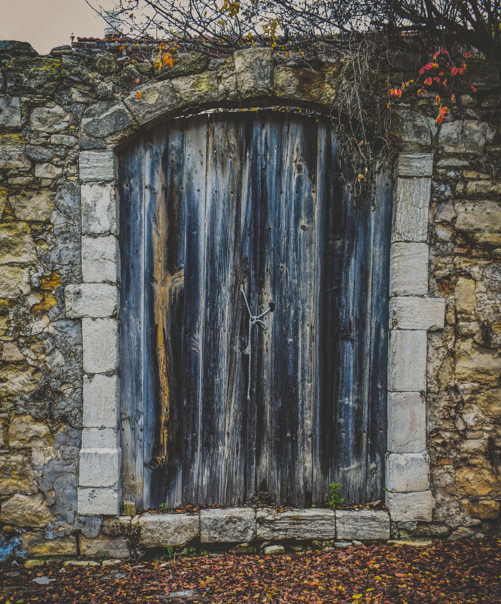 Nikon D3300 sample photo. Door, old, wooden photography