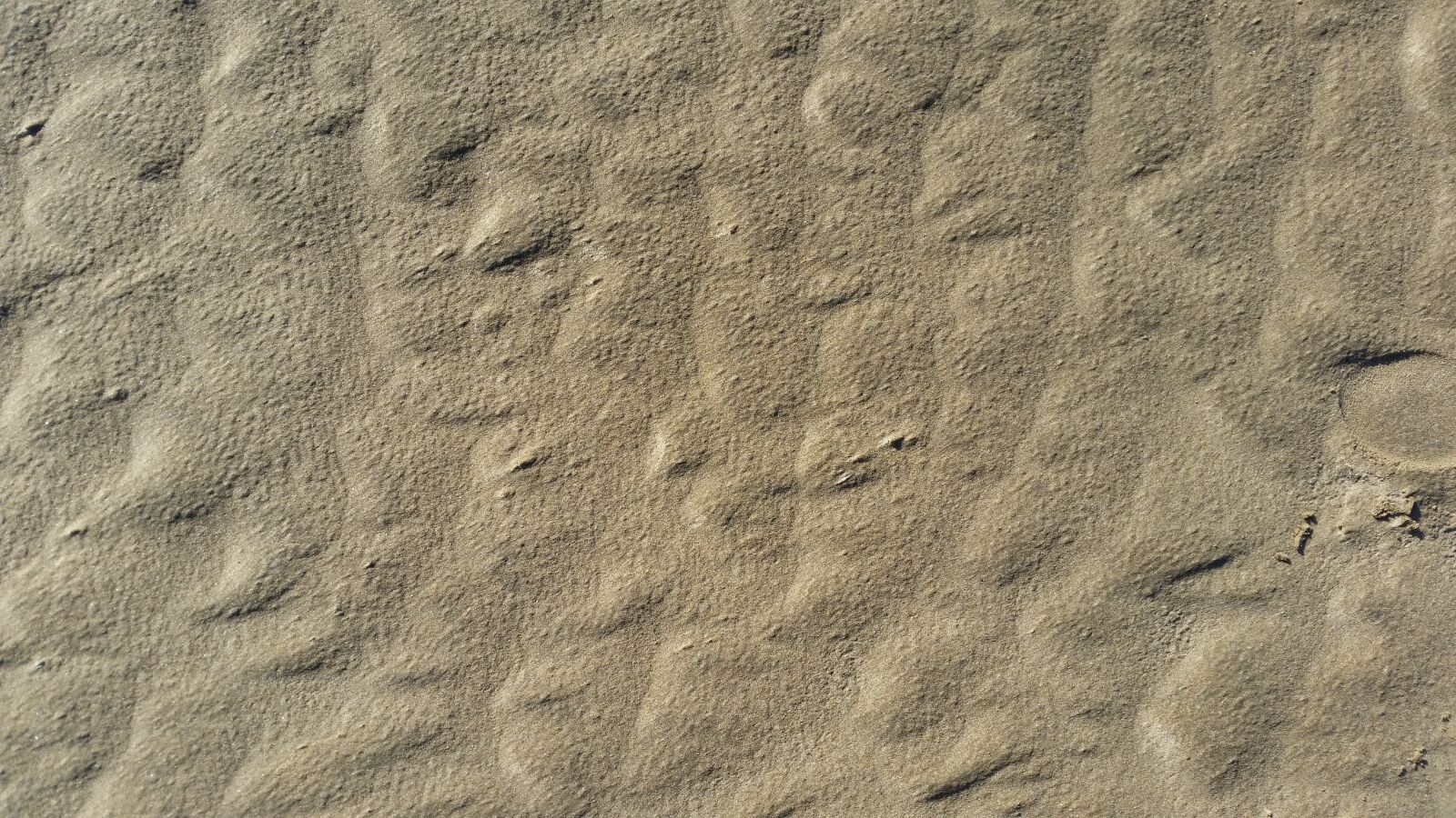 Samsung Galaxy S5 sample photo. Sand, beach, background photography