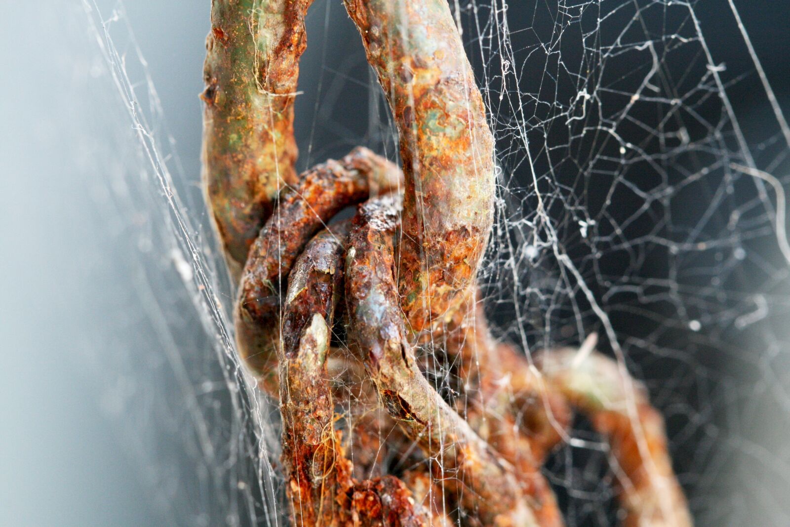 Canon EOS 400D (EOS Digital Rebel XTi / EOS Kiss Digital X) sample photo. Chain, cobweb, rust photography