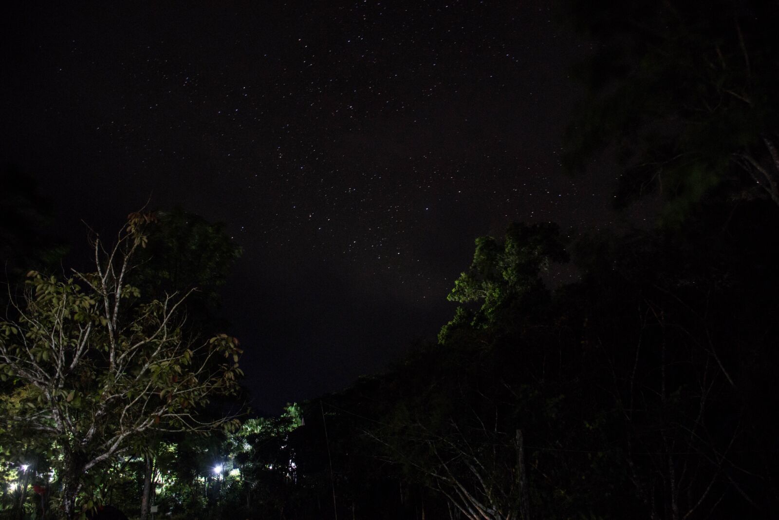 Nikon D7200 sample photo. The star, nature, the photography