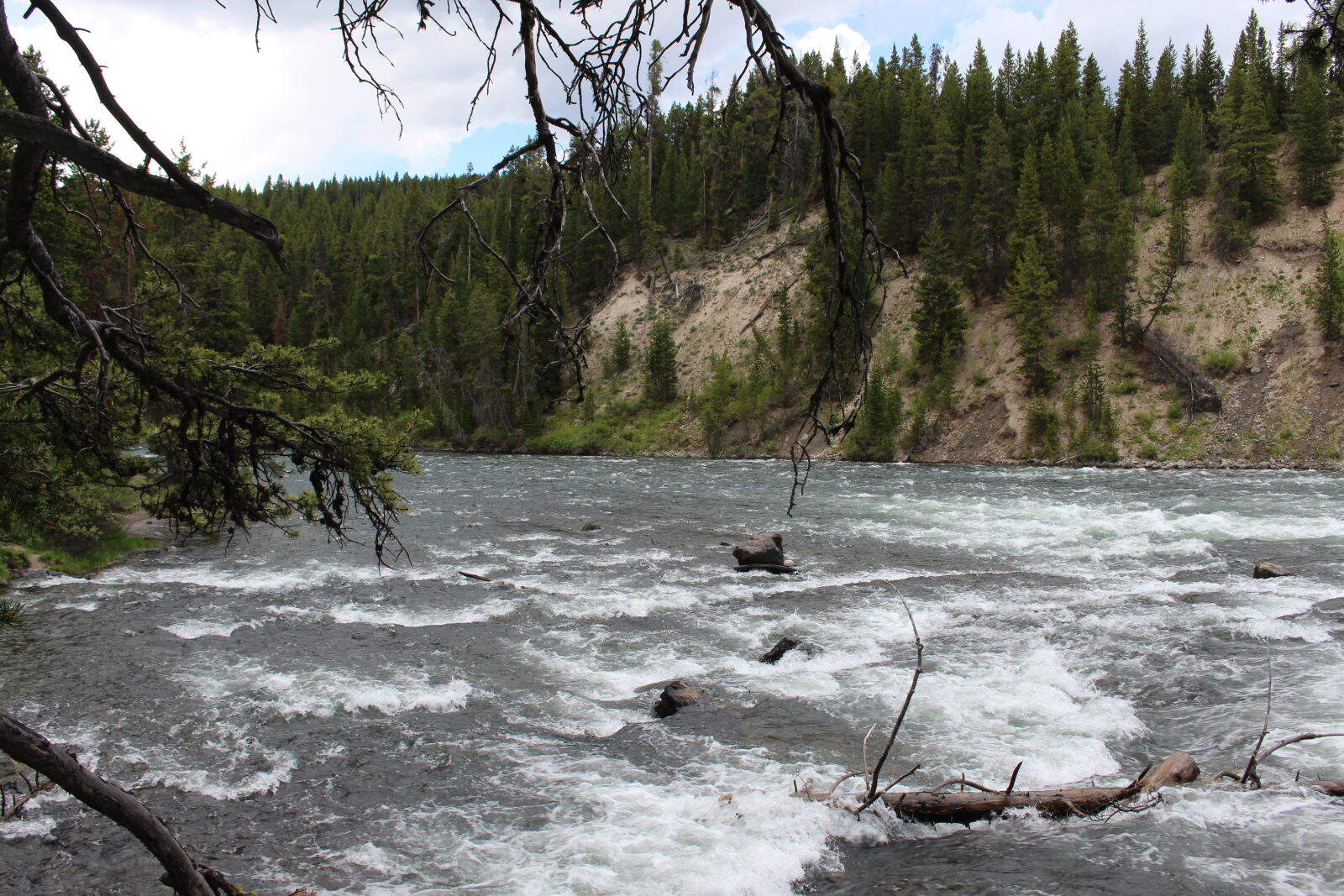 Canon EOS 700D (EOS Rebel T5i / EOS Kiss X7i) sample photo. Forest, river, trees photography