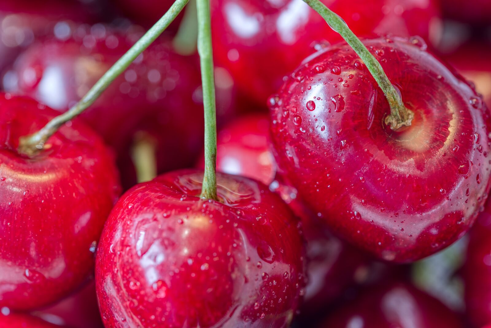 Nikon D750 sample photo. Cherries, stone fruit, fruits photography