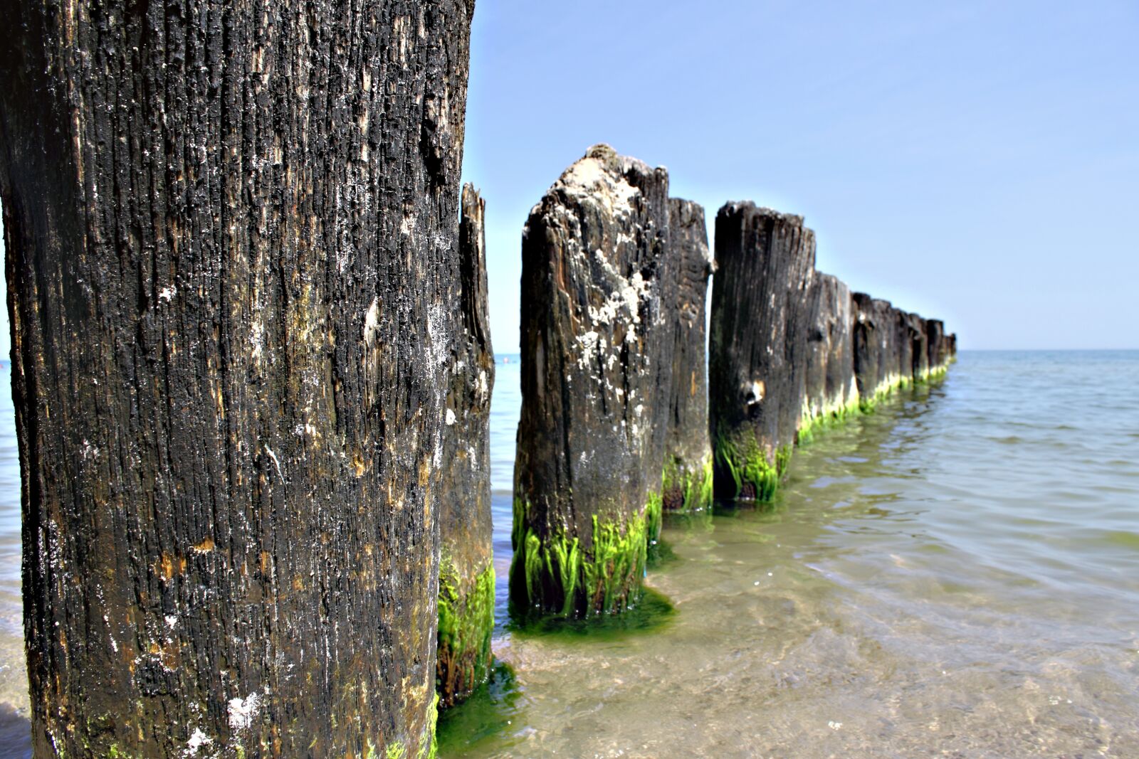 Canon EOS 500D (EOS Rebel T1i / EOS Kiss X3) sample photo. Sea, summer, water photography