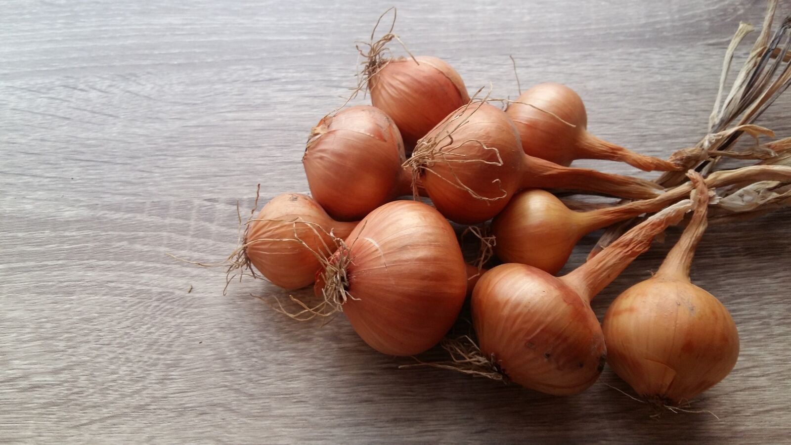 Samsung Galaxy A5 sample photo. Onion, recipes, food photography