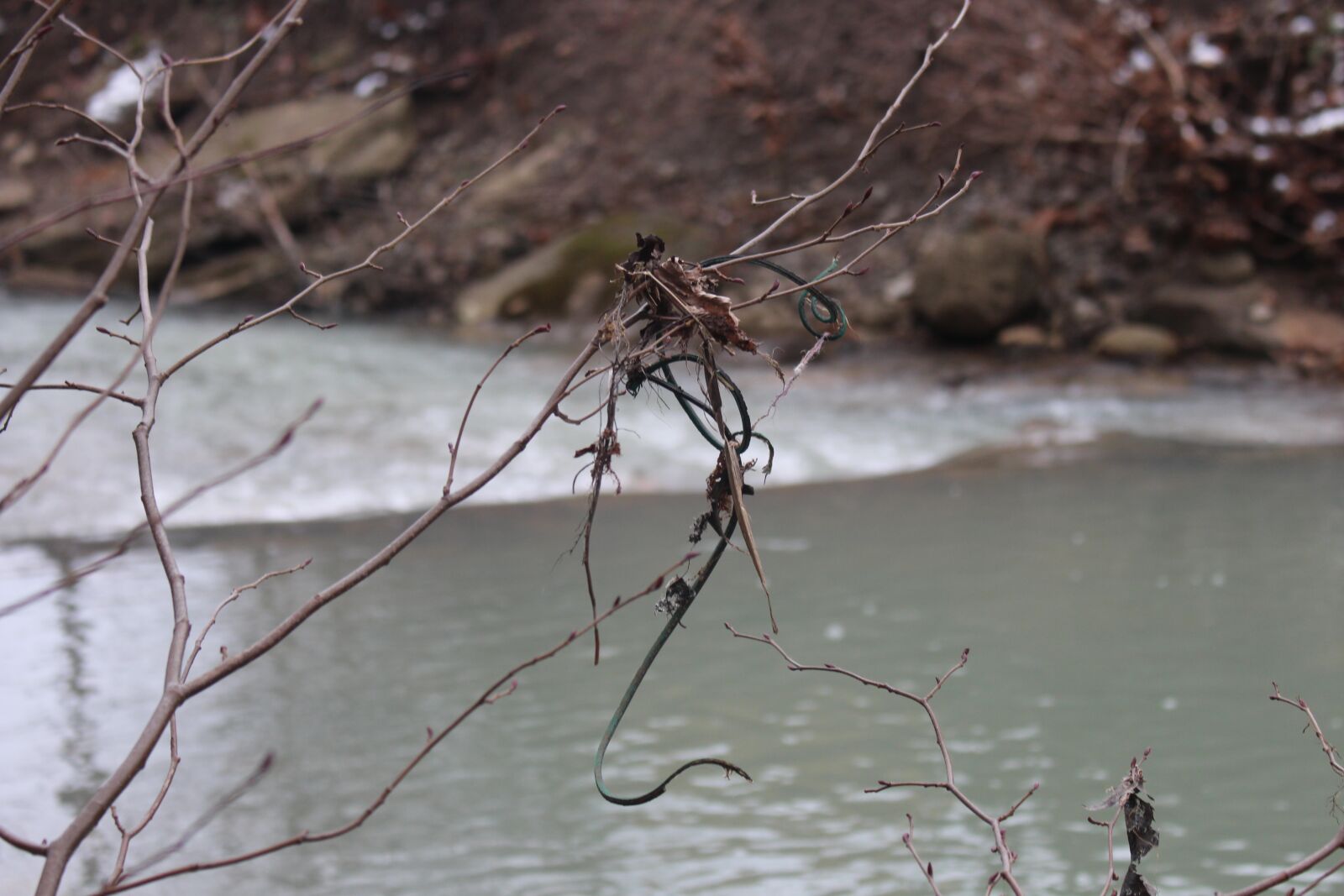 Canon EOS 700D (EOS Rebel T5i / EOS Kiss X7i) sample photo