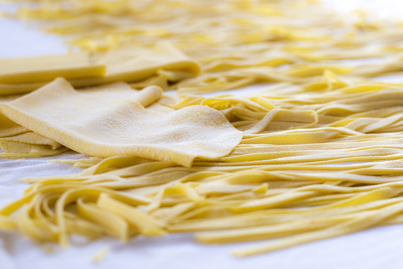 Nikon D5600 sample photo. Fresh pasta, manufacturing, tagliatelle photography