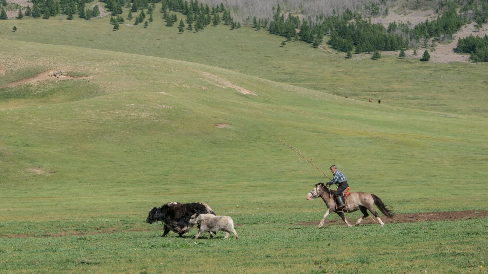 Sony E 18-200mm F3.5-6.3 OSS sample photo. Landscape, mongolia, south photography