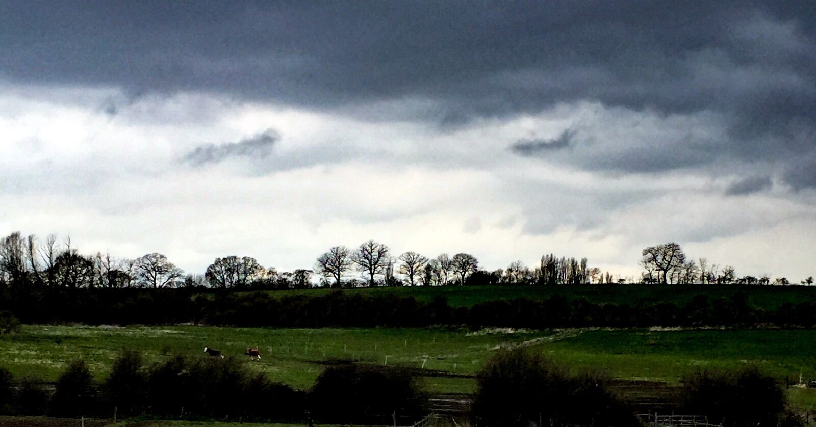Apple iPhone 6 sample photo. Clouds, fields, landscape, silhouette photography