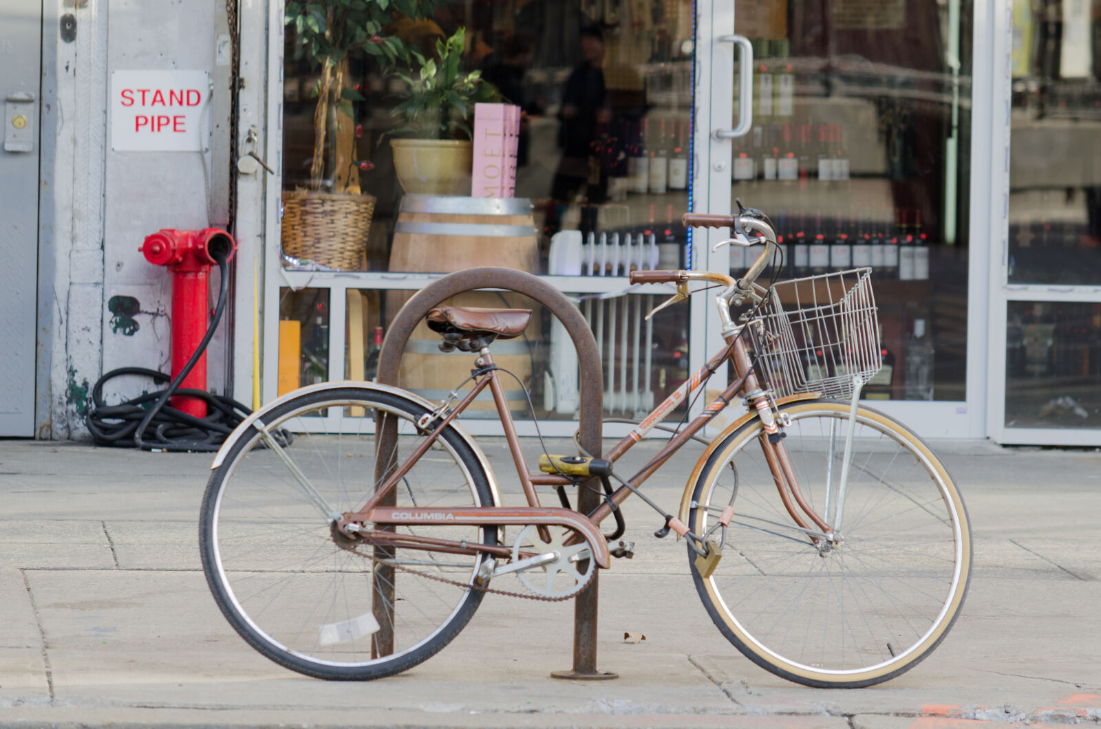 Nikon D5100 sample photo