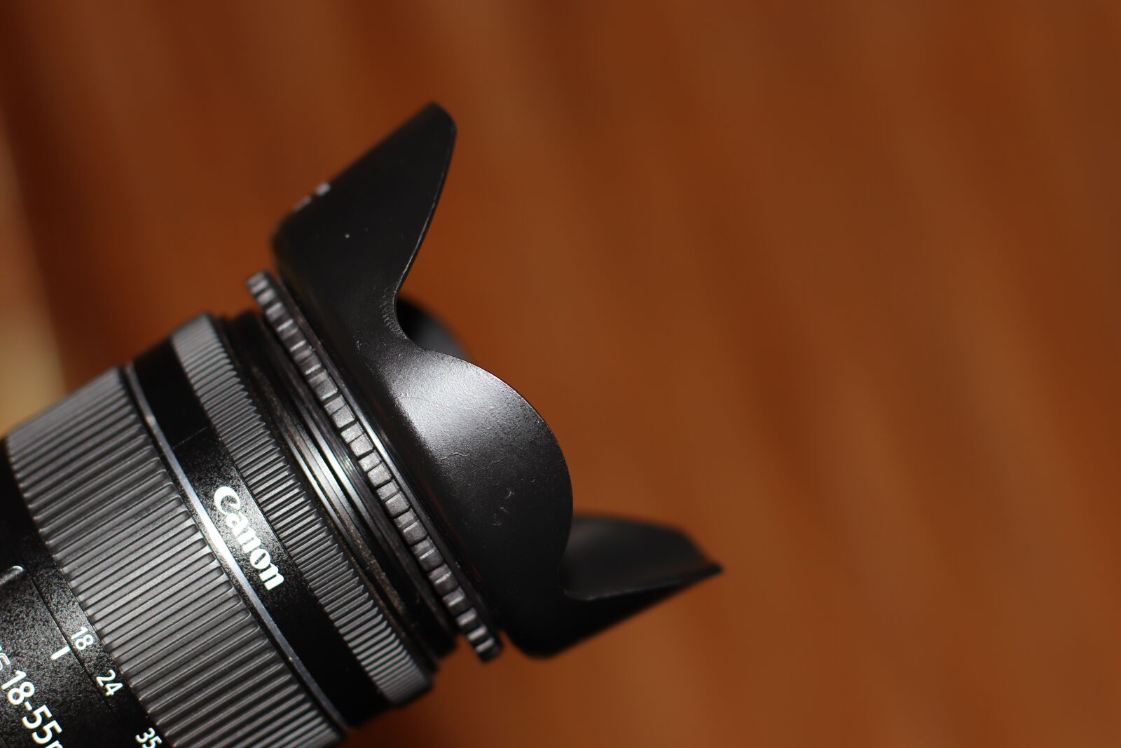 Canon EF 50mm F1.4 USM sample photo. Canon, hood, studio photography