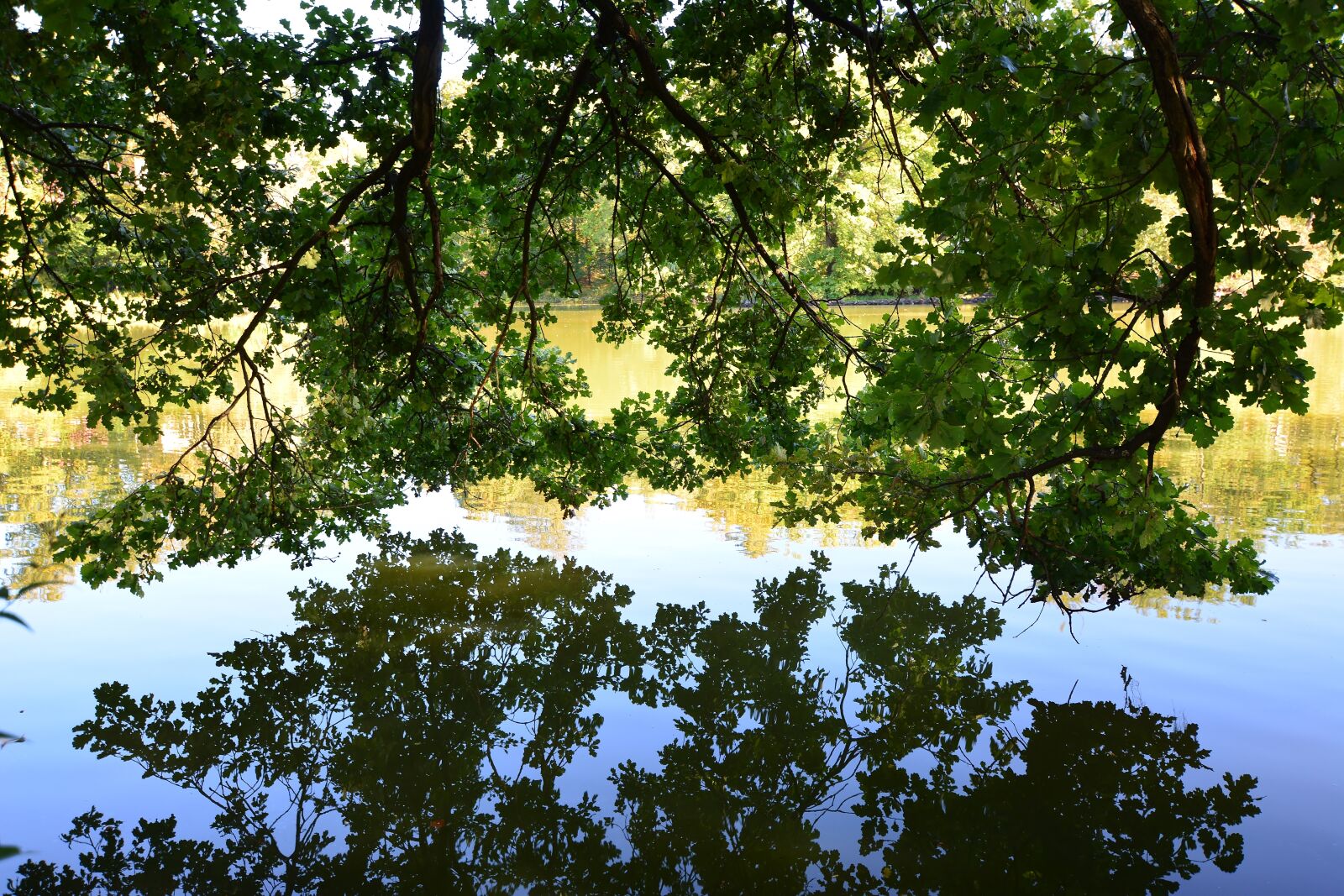 Nikon D5200 sample photo. Park, park lake, greiz photography
