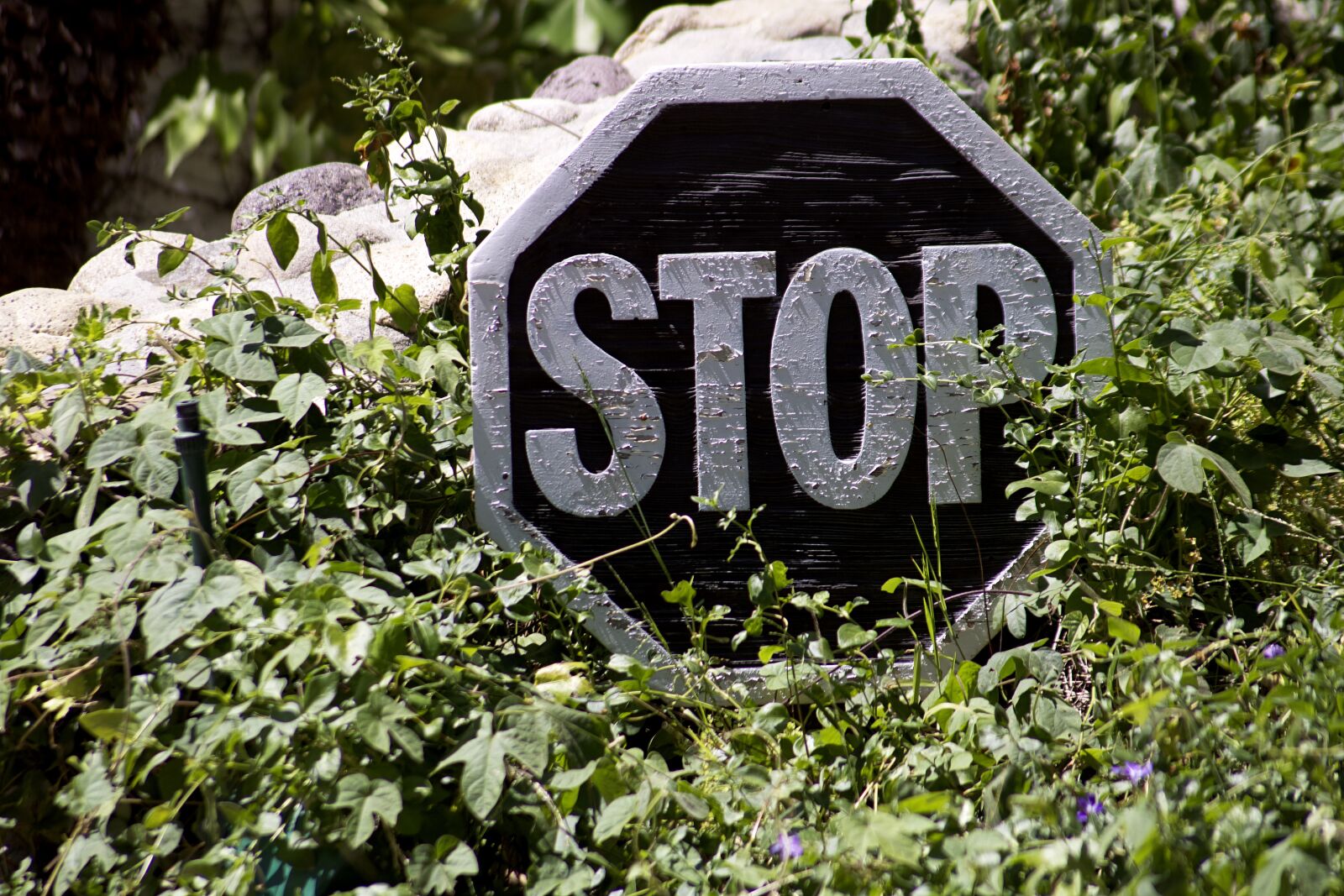 Canon EOS 750D (EOS Rebel T6i / EOS Kiss X8i) sample photo. Sign, plaque, signage photography