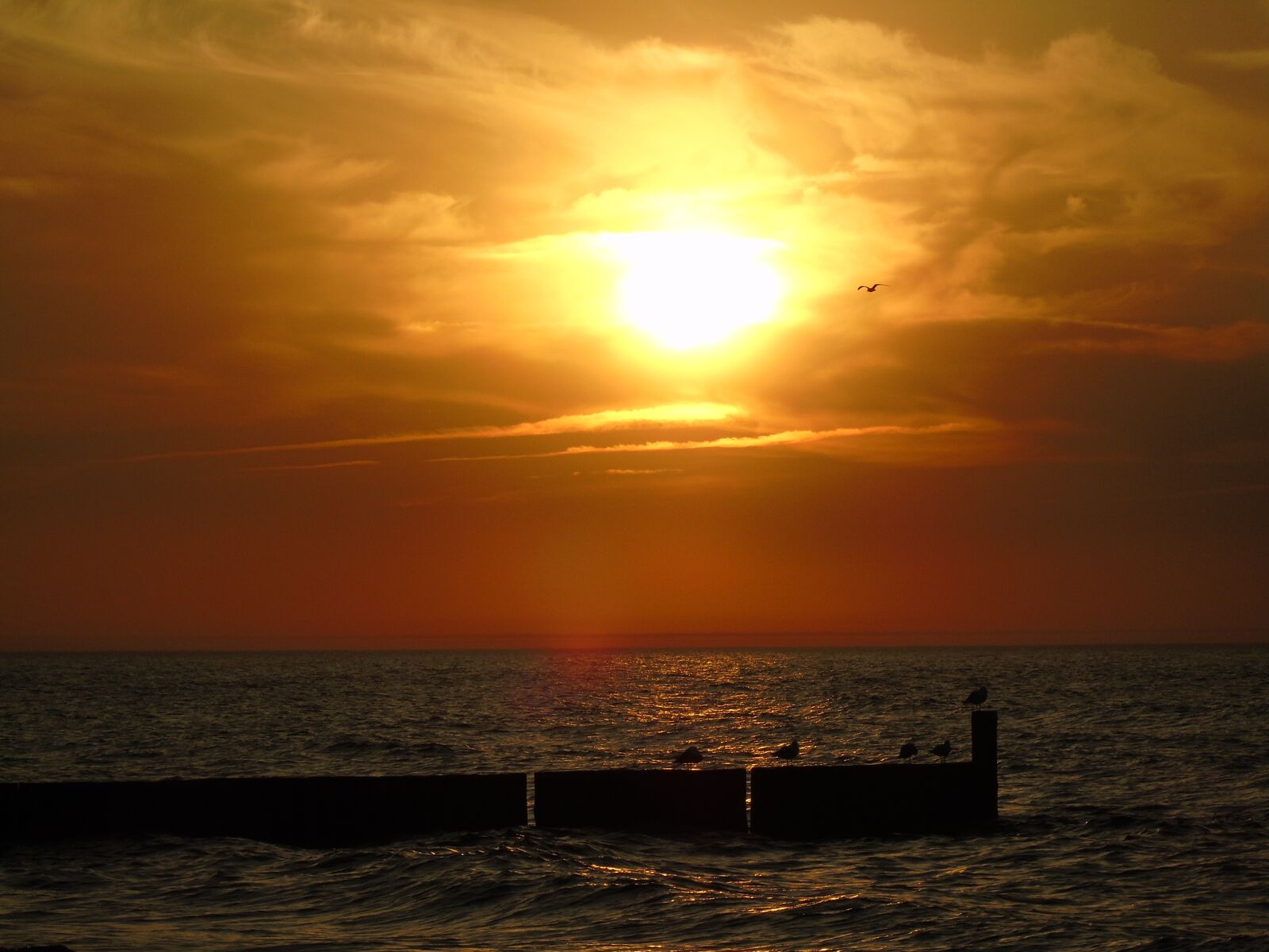 Sony Cyber-shot DSC-H400 sample photo. Sea, the seagulls, birds photography