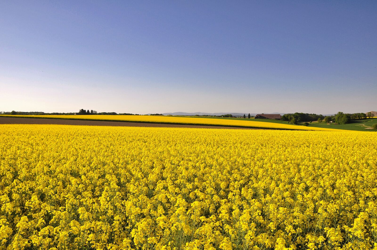 Nikon D90 sample photo. Field, agriculture, landscape photography