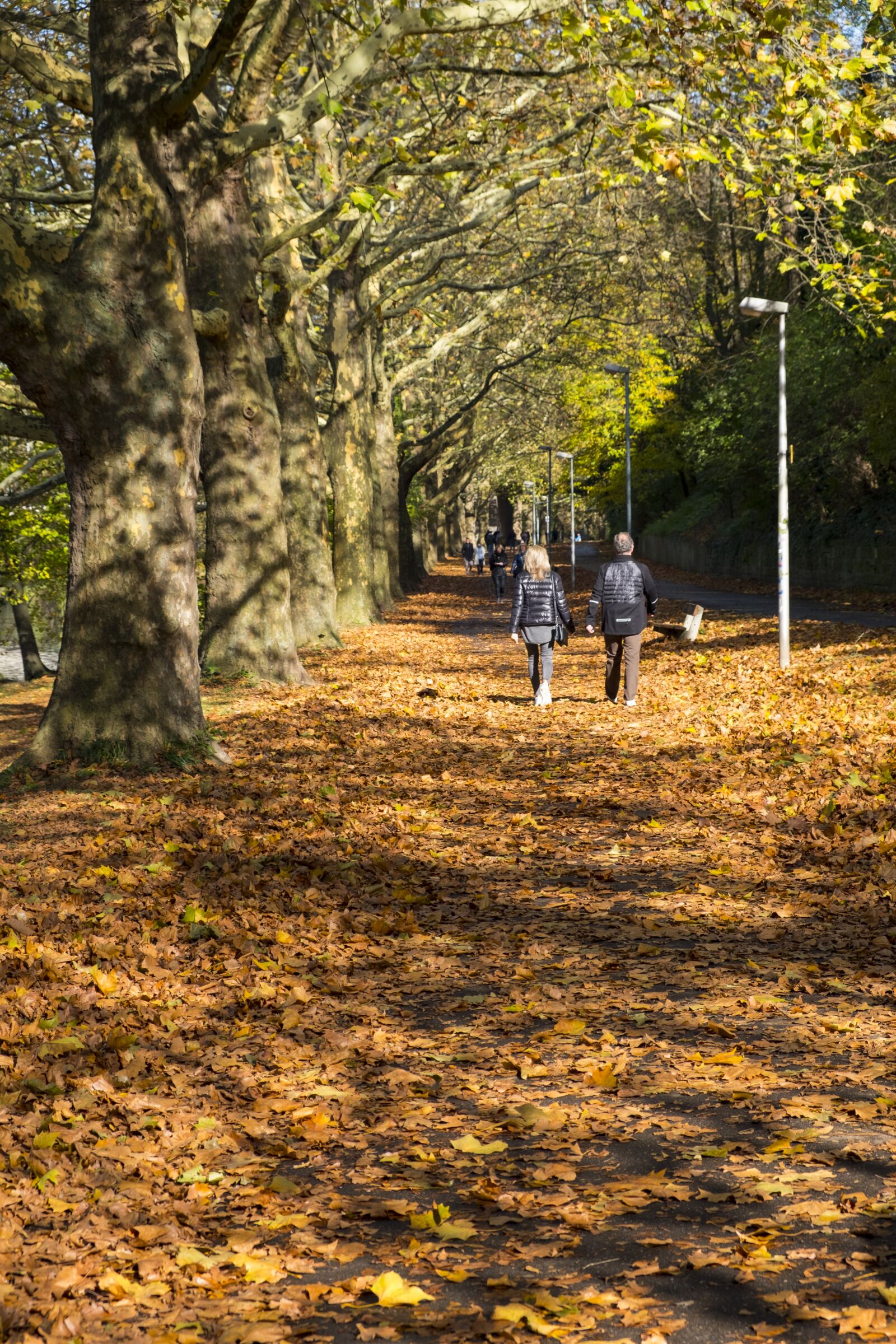 Fujifilm XF 18-55mm F2.8-4 R LM OIS sample photo. Away, sidewalk, avenue photography