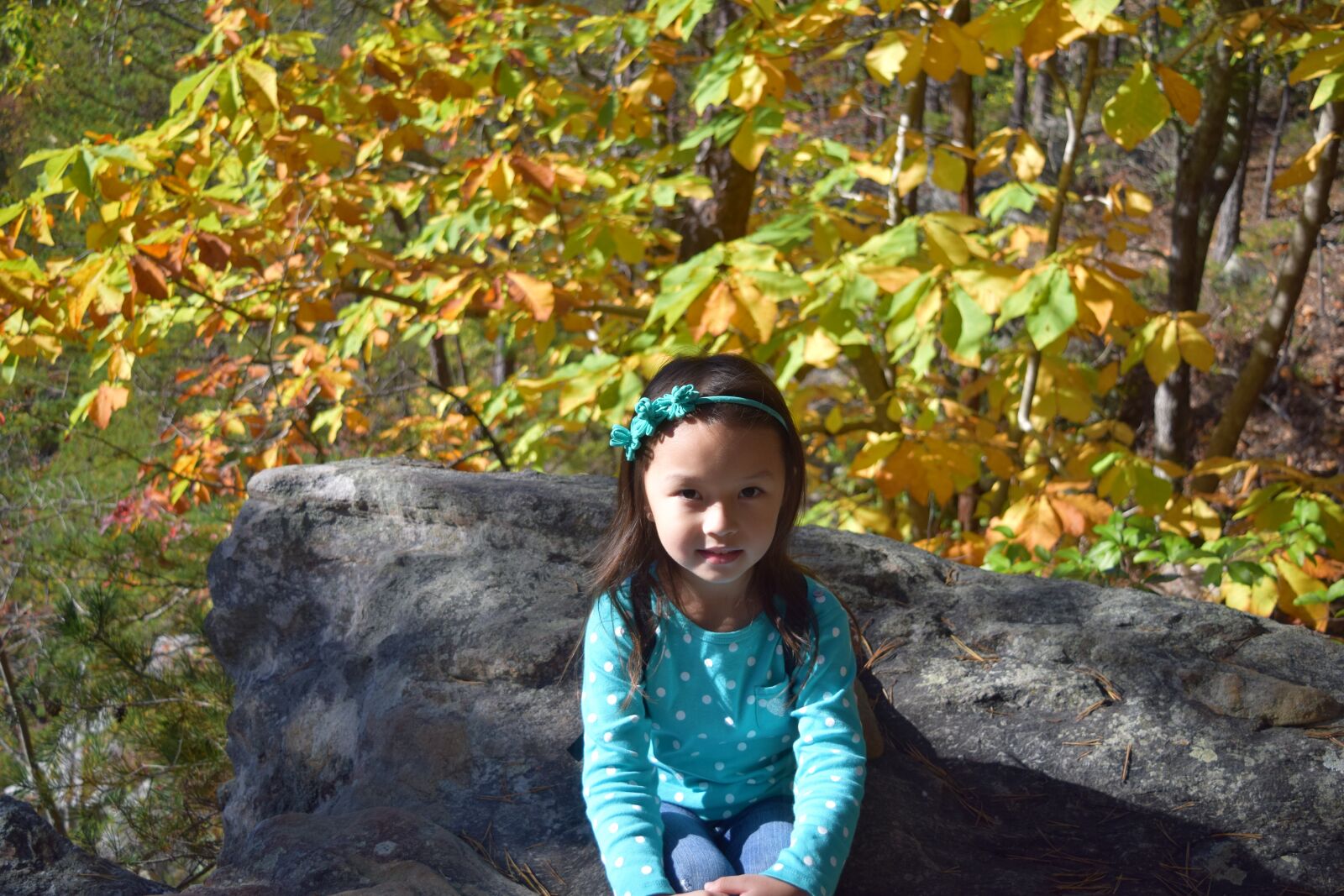Nikon D3300 sample photo. Smiling, girl, autumn photography