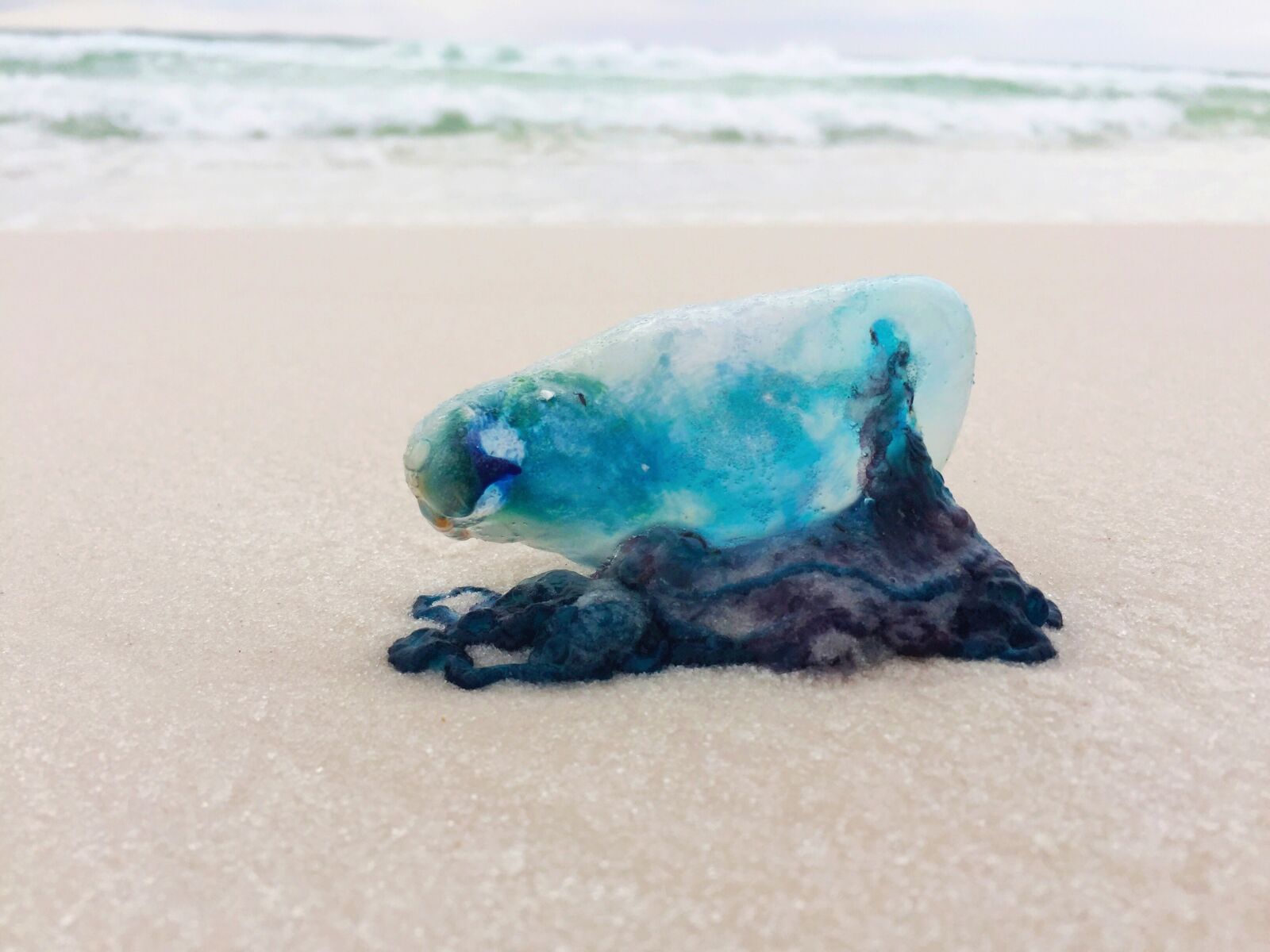 Apple iPhone 6 sample photo. Ocean, sea, beach photography