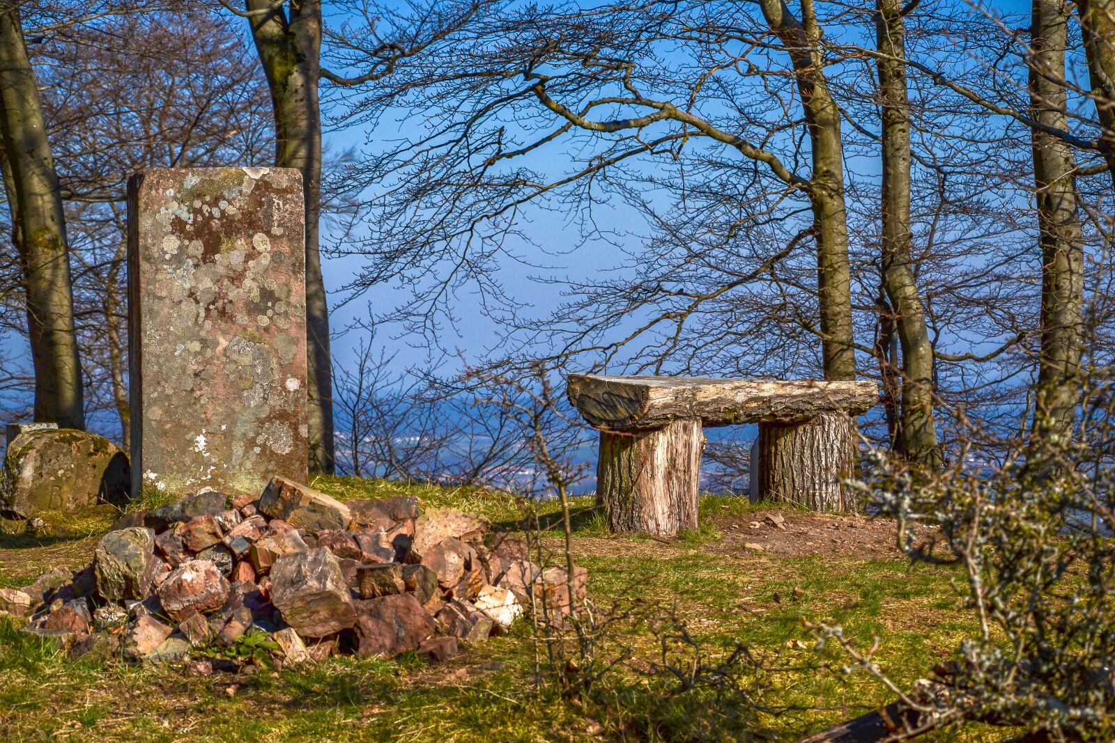 Nikon D7000 sample photo. Nature, hiking, trail photography