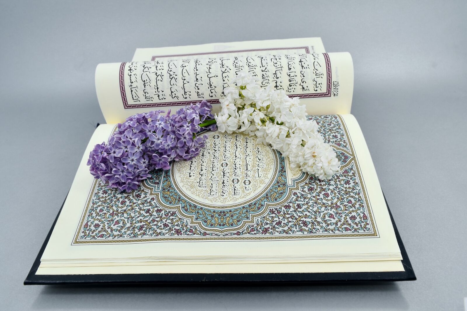 Nikon D5500 sample photo. Beautiful flowers, islam, lilac photography