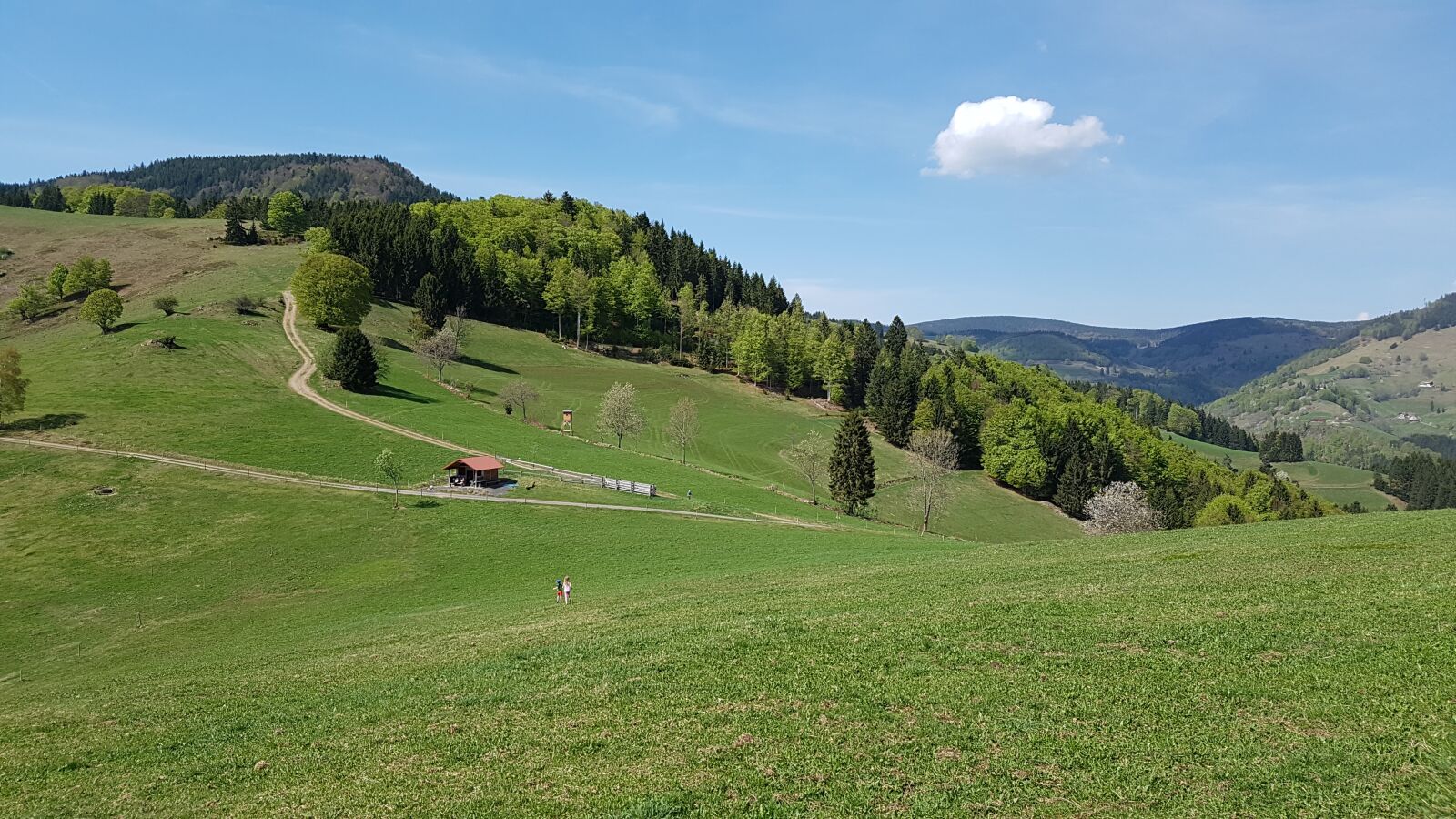 Samsung Galaxy S7 sample photo. Black forest, nature, landscape photography