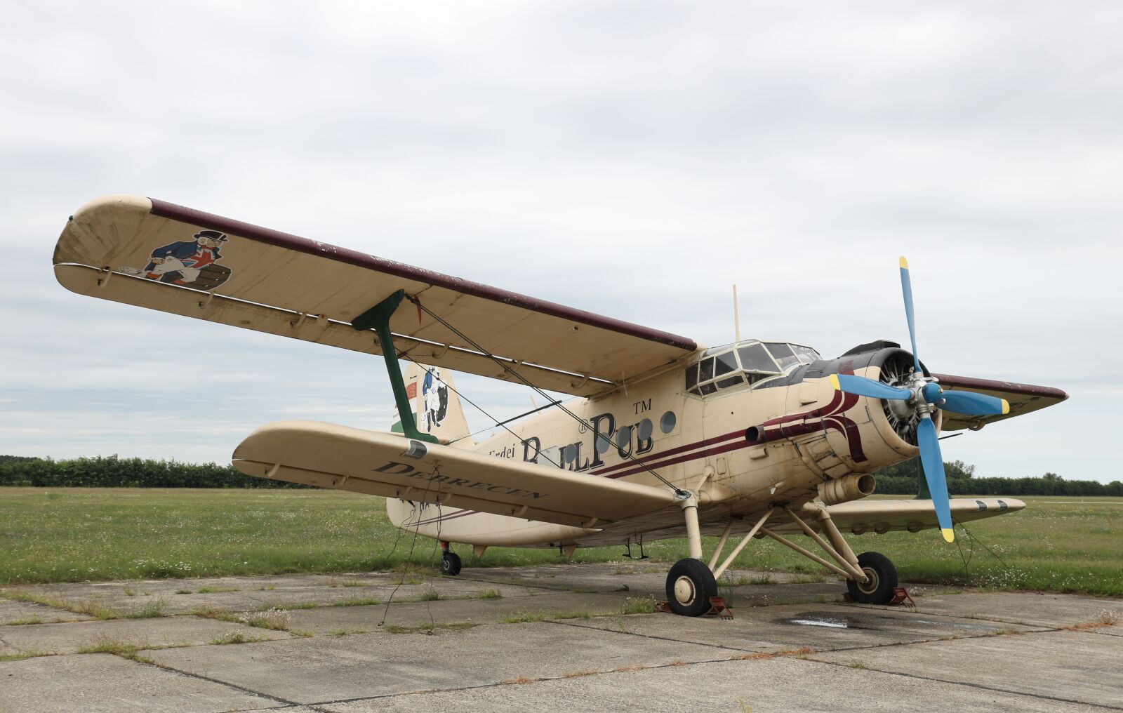 Canon EOS 750D (EOS Rebel T6i / EOS Kiss X8i) sample photo. Antonov, an-2, biplane photography