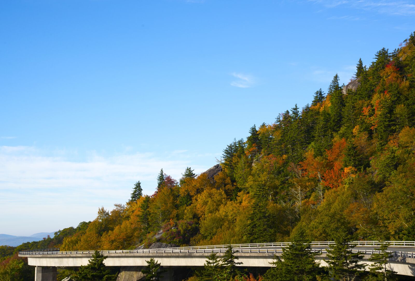 Nikon D610 sample photo. Autumn, sky, leaves photography