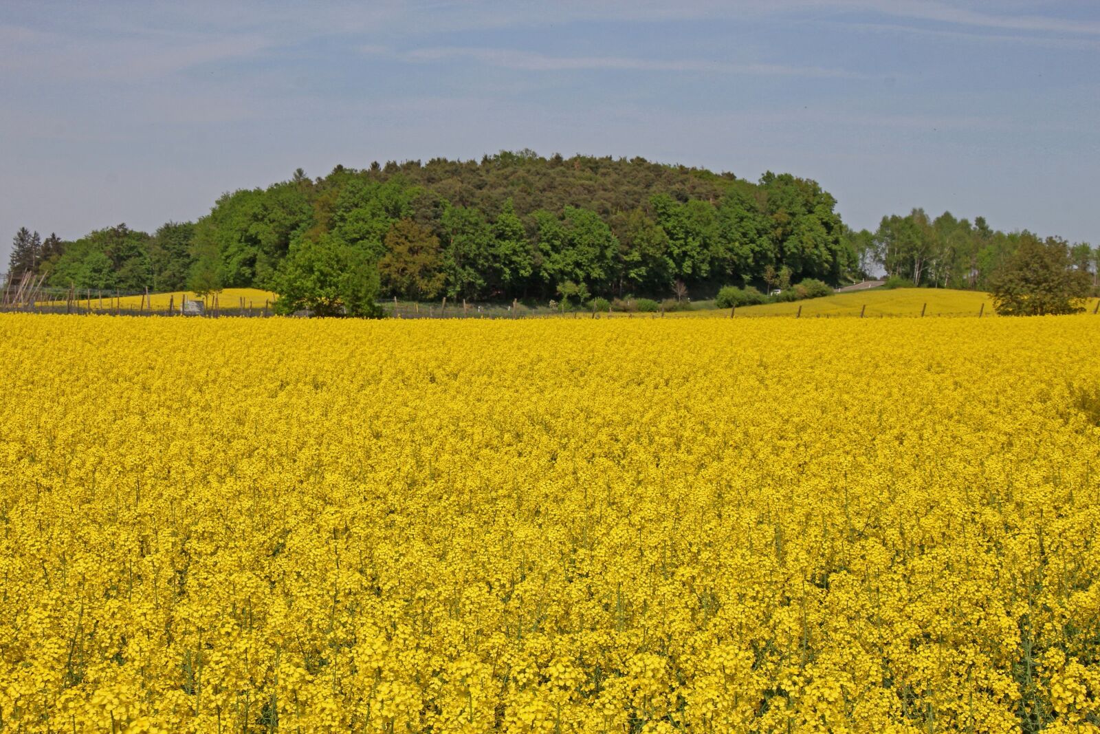 Canon EOS 60D sample photo. Agriculture, field, harvest photography
