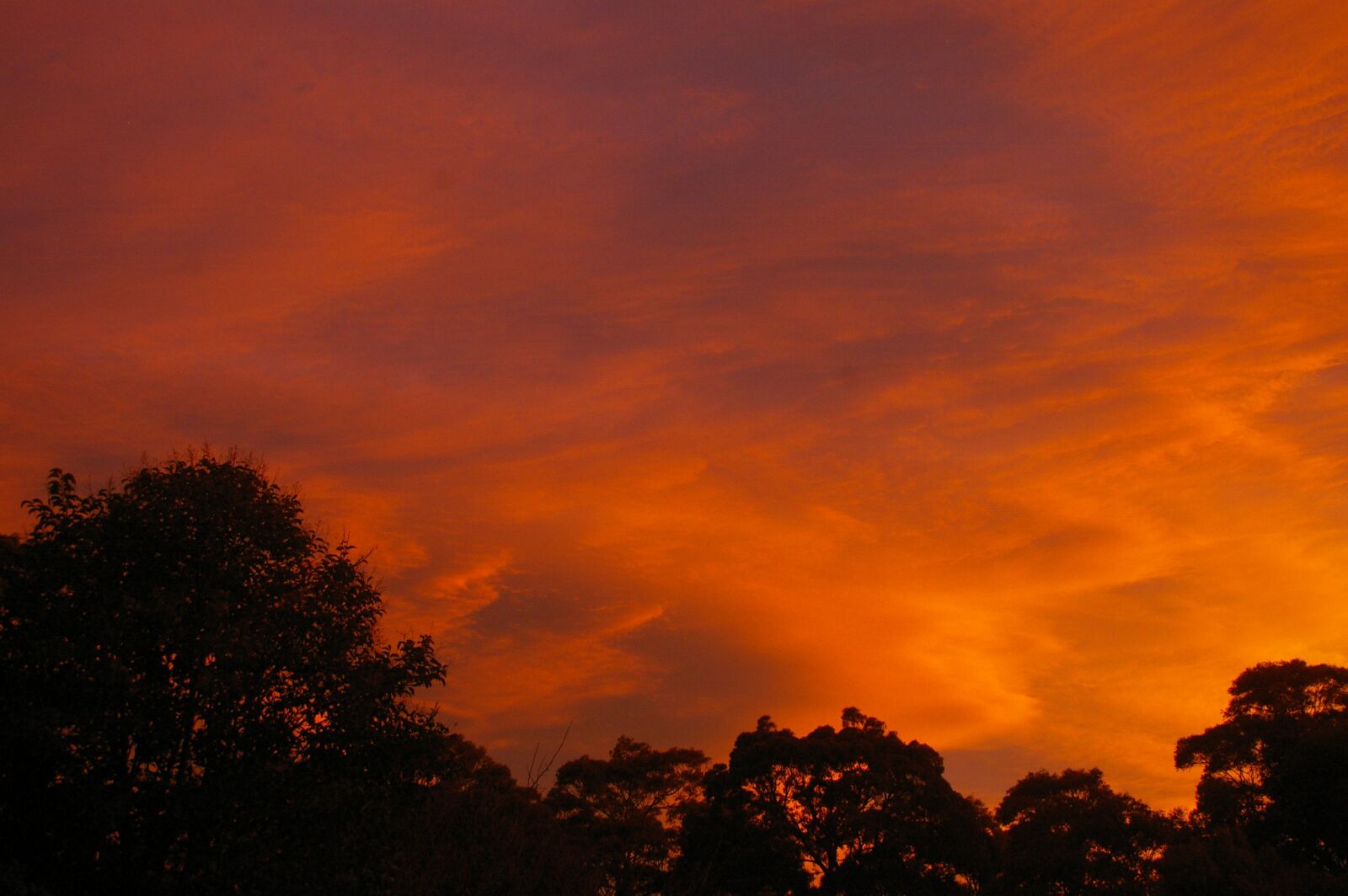 Pentax K100D sample photo. Sunset, sky, nature photography