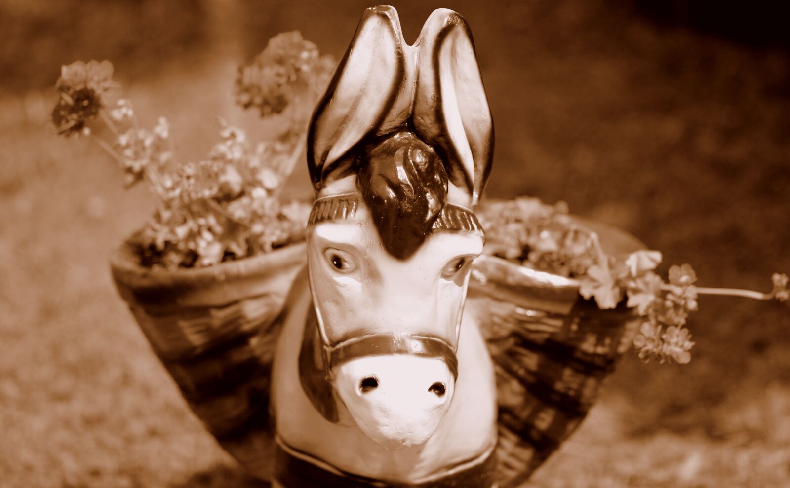 Canon EOS 700D (EOS Rebel T5i / EOS Kiss X7i) + Canon EF 85mm F1.8 USM sample photo. Donkey, flowers, statuette photography