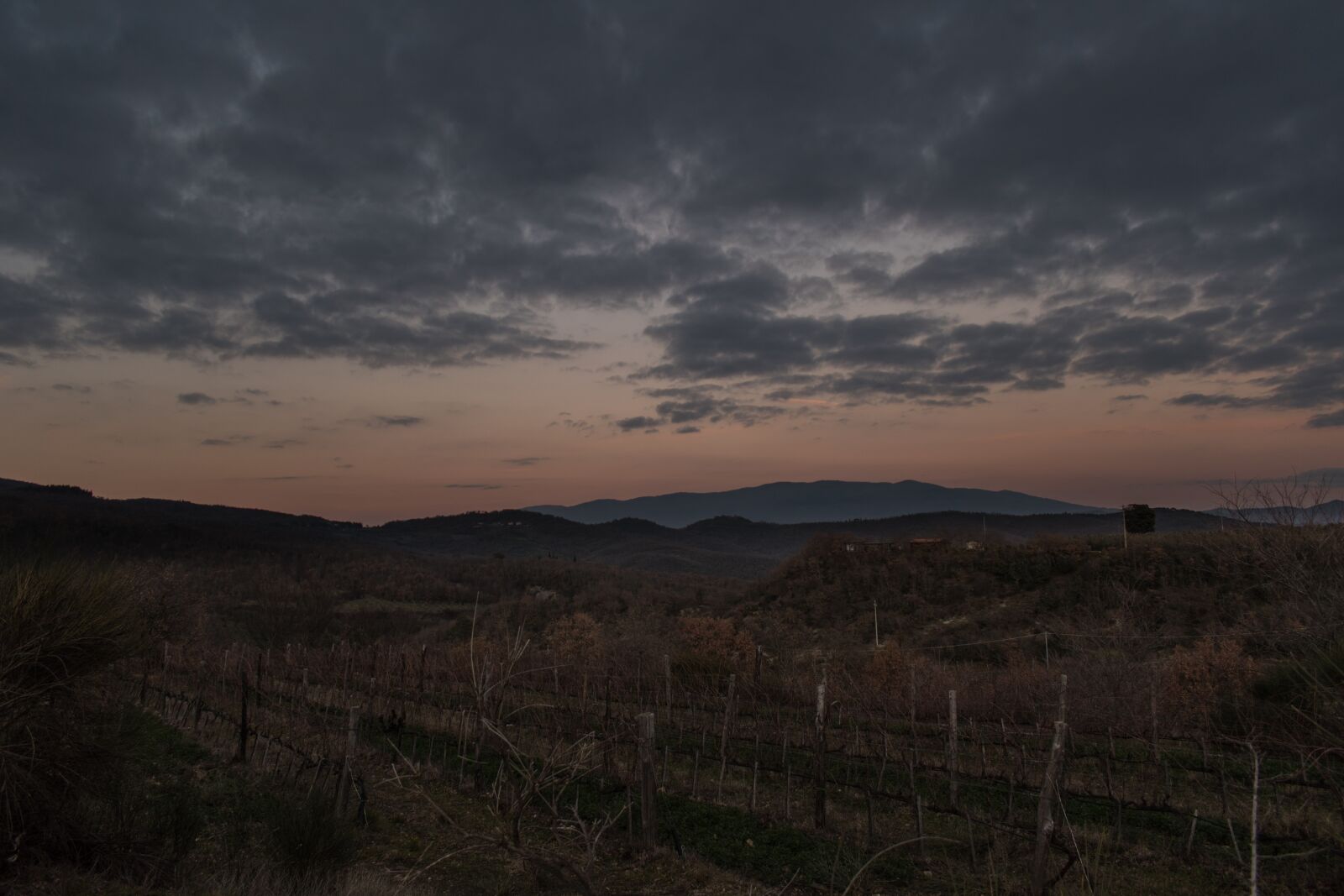 Nikon D5600 sample photo. Landscape, vineyard, sky photography