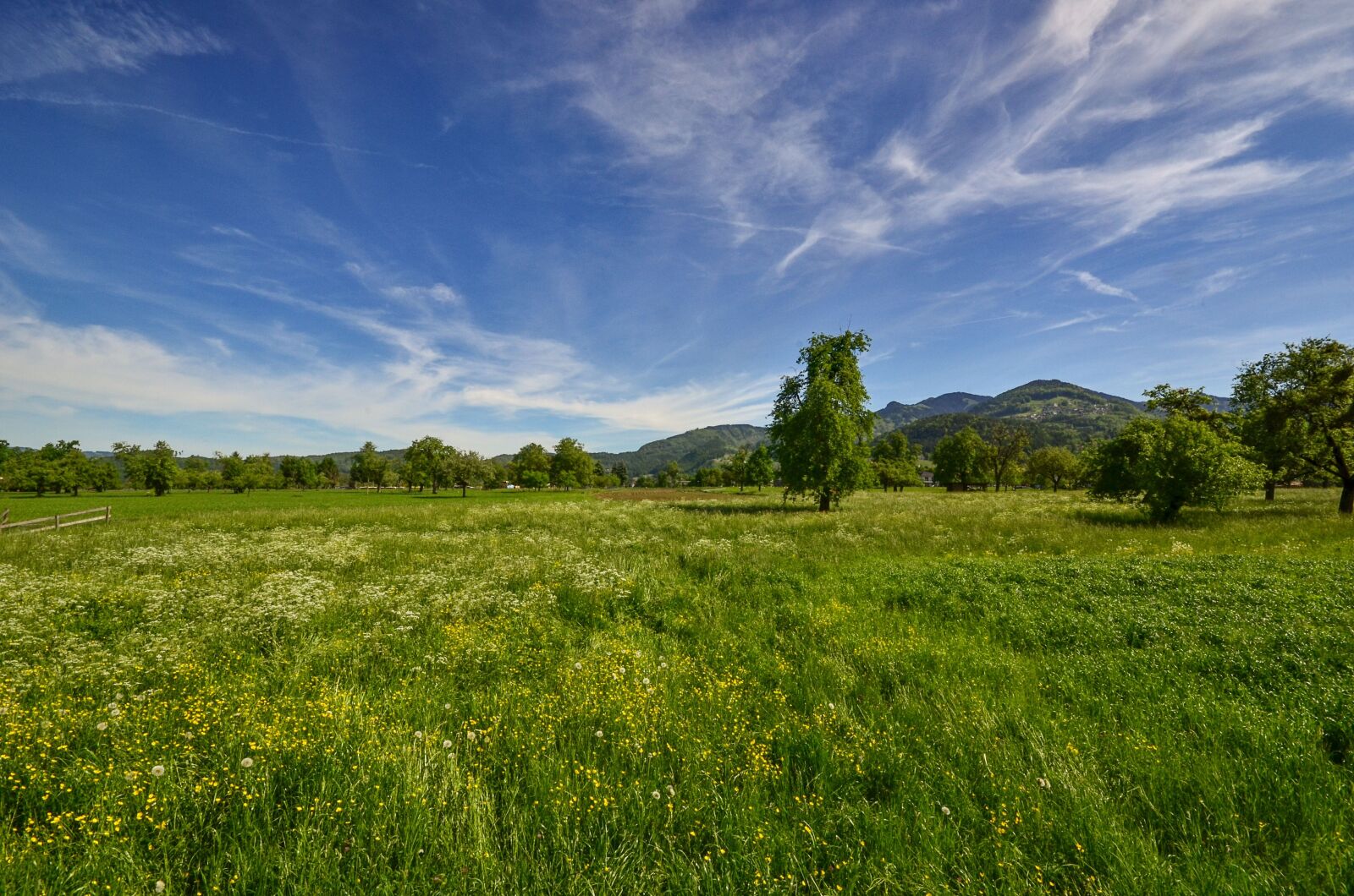 Nikon D7000 sample photo. Meadow, nature, landscape photography